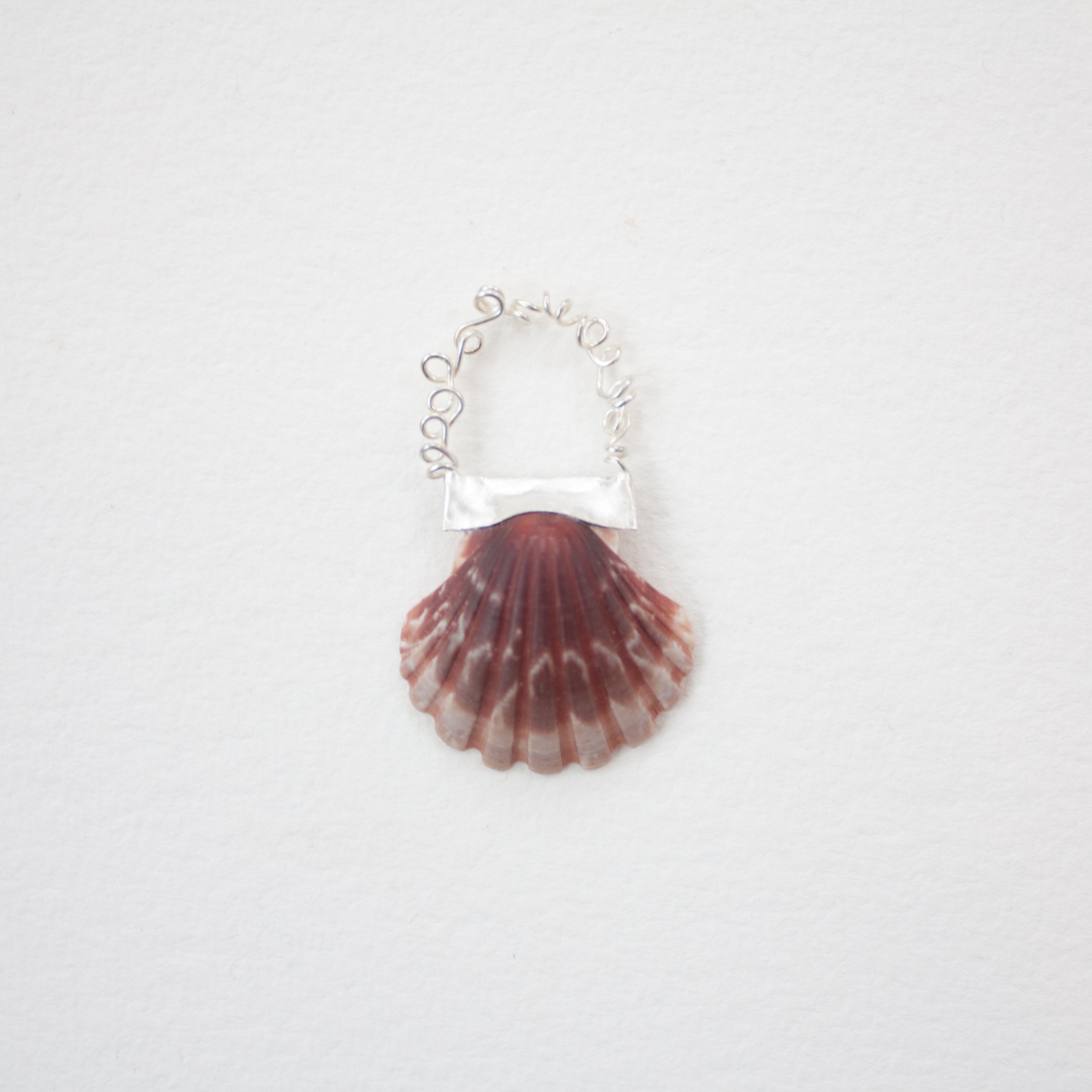 Shell Spoon #15