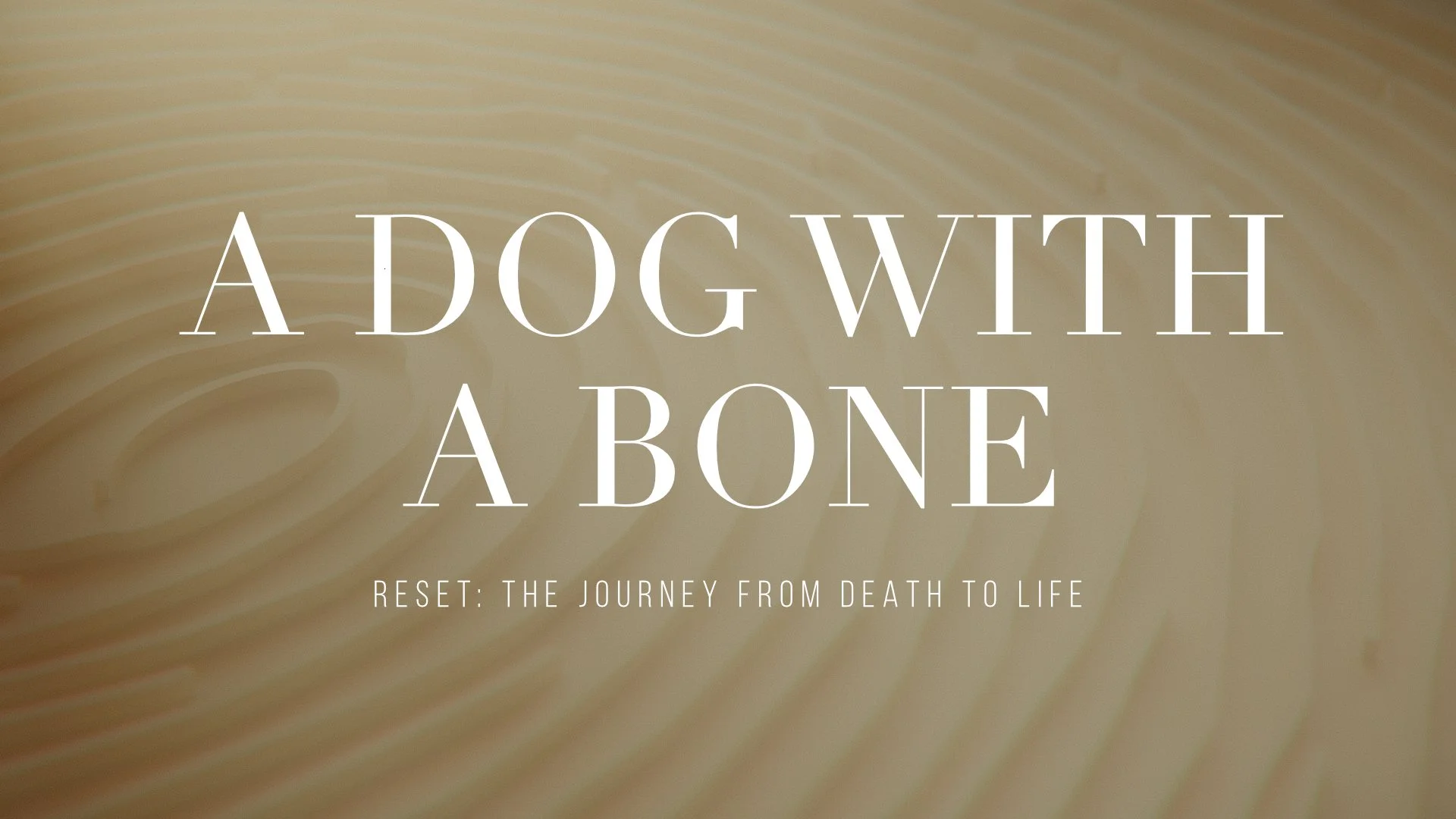A Dog With A Bone