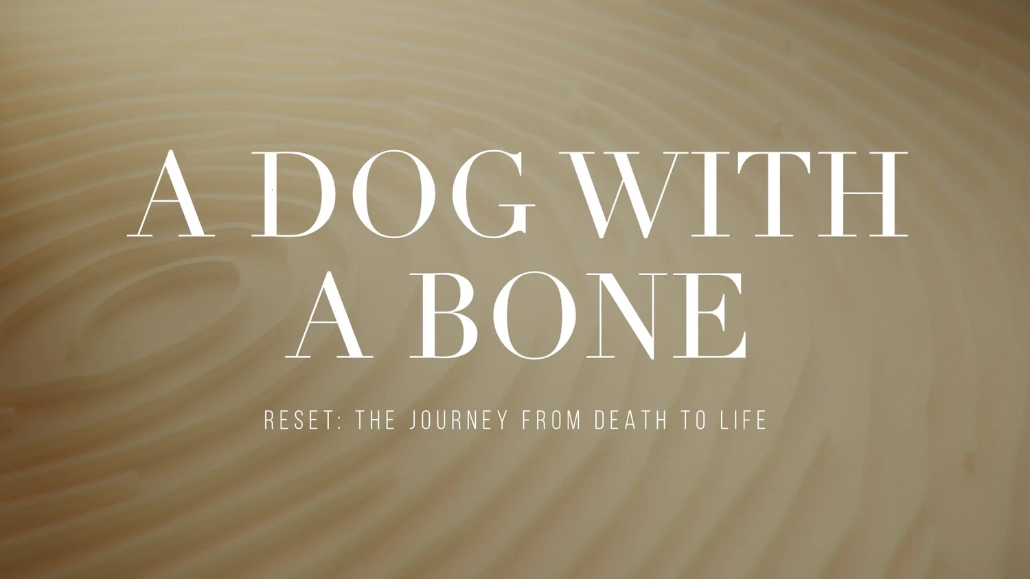 A Dog With A Bone episode artwork
