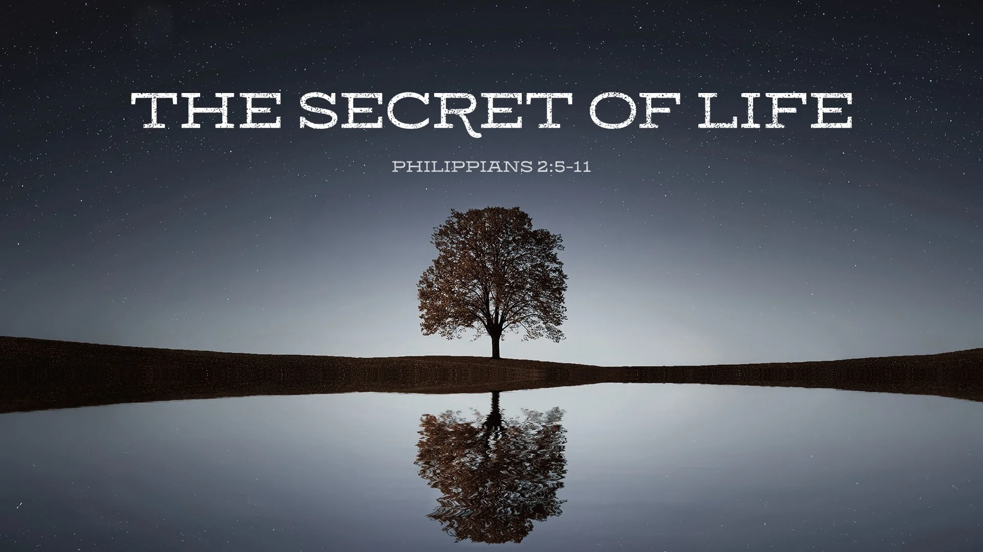 The Secret Of Life