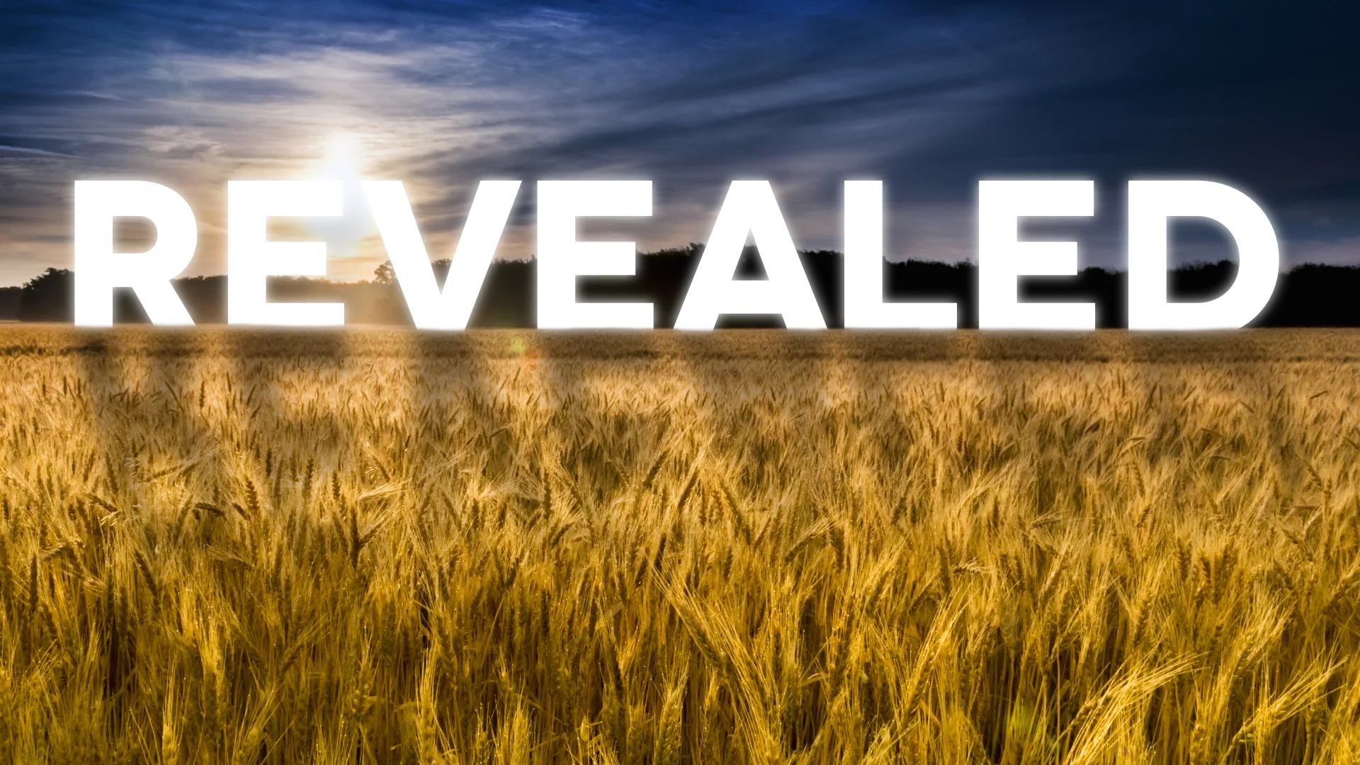 Revealed