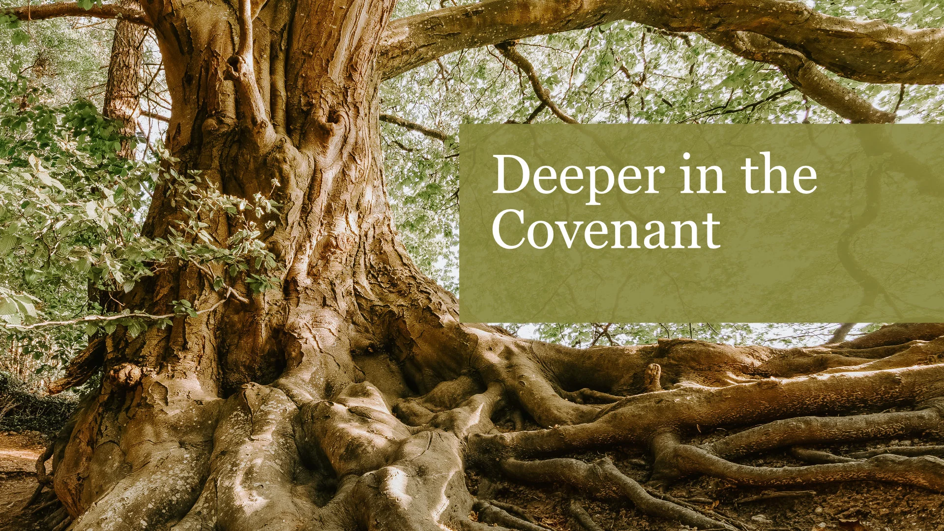 Deeper In The Covenant