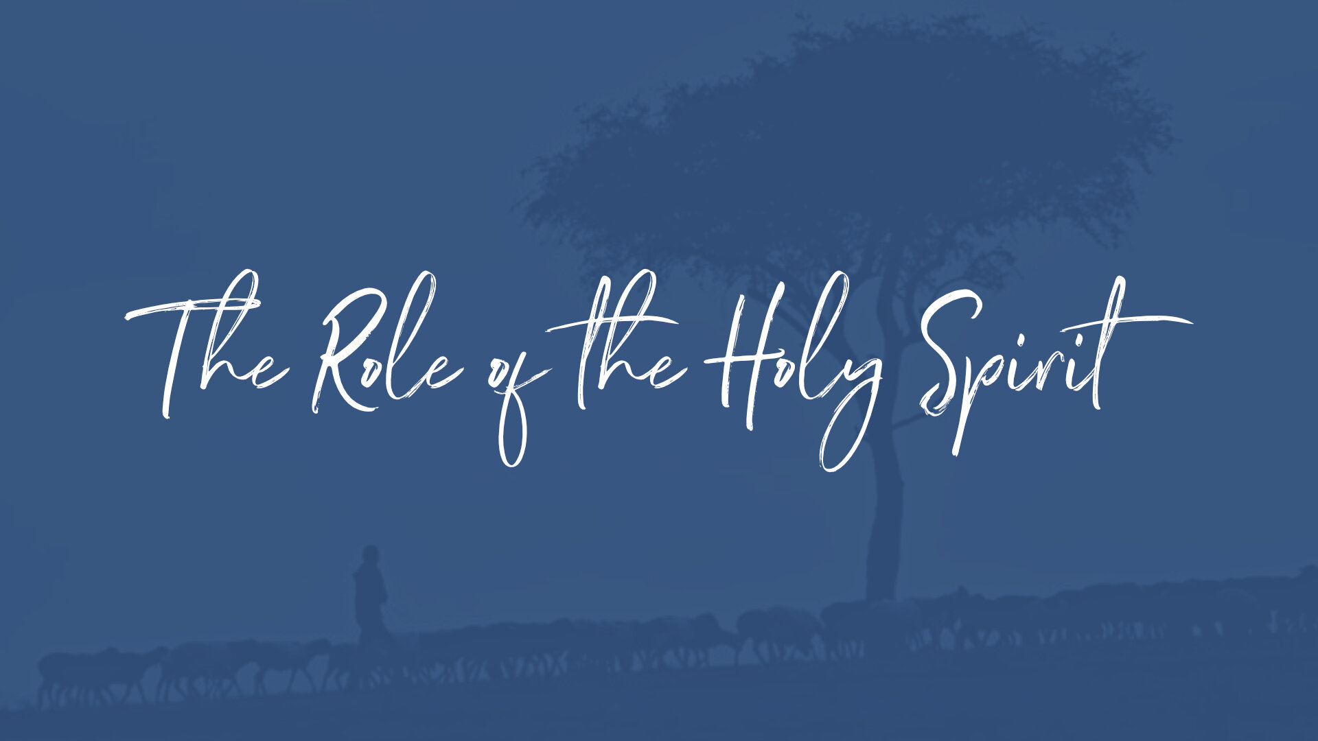 The Role Of The Holy Spirit