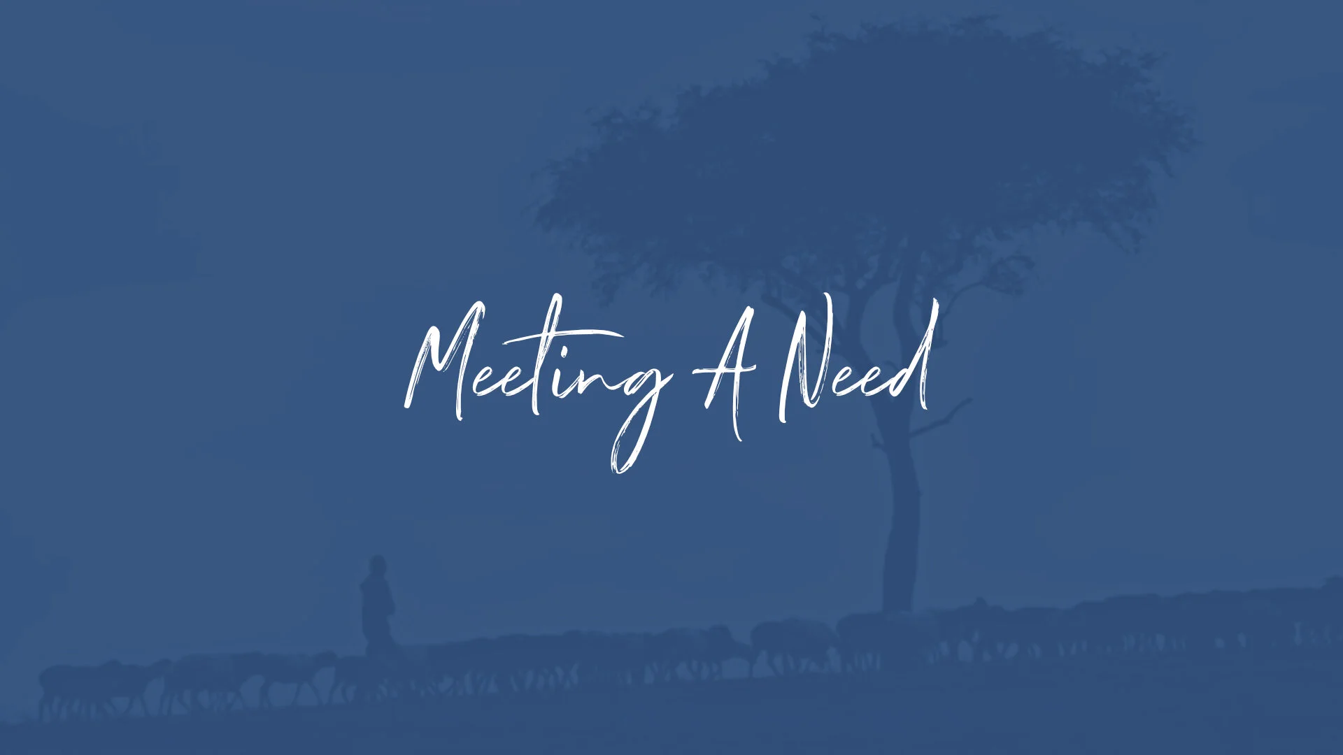 Meeting A Need