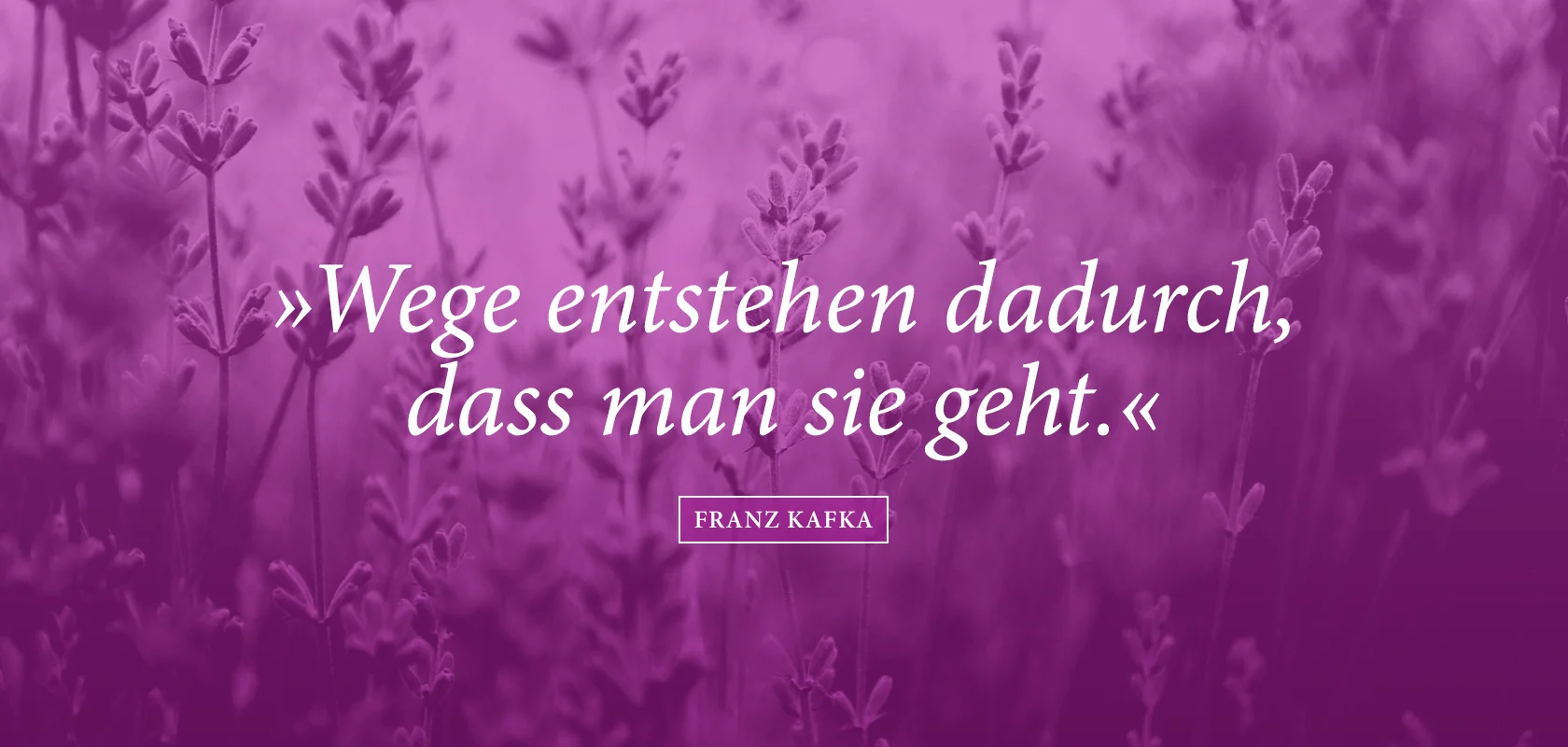 susanne-main-teaser-2.jpg