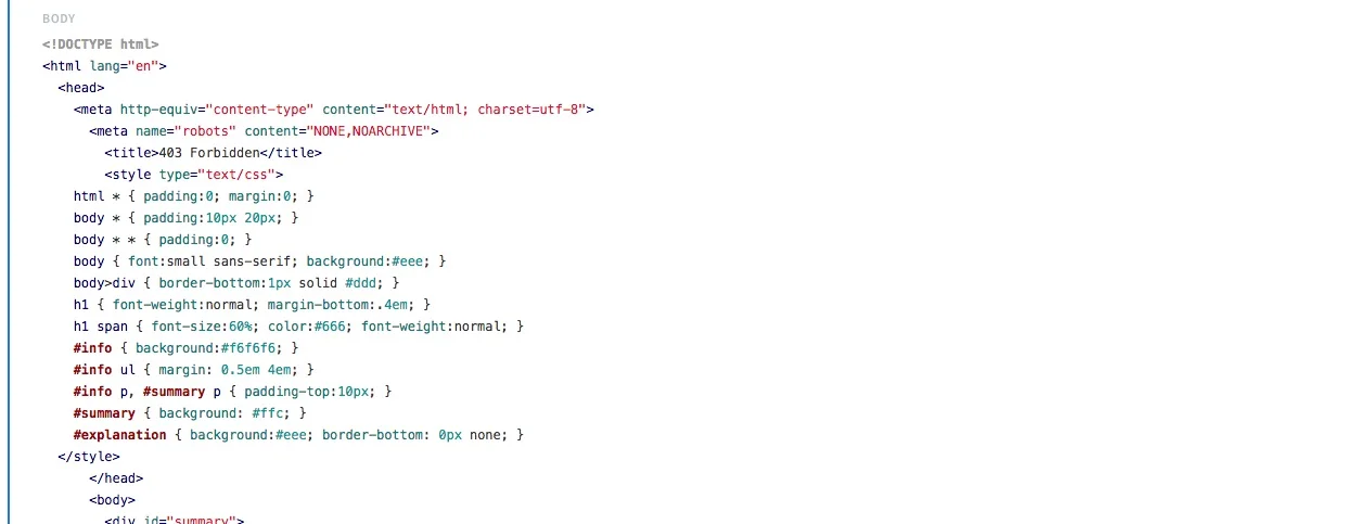 An API response with a full HTML page in the body parameter