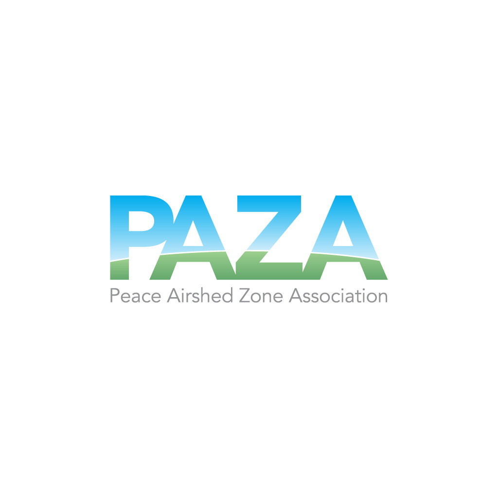 Identity Design and Logo: PAZA