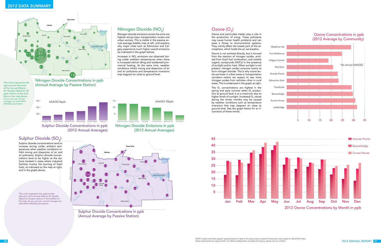 Annual Report Design: PAZA