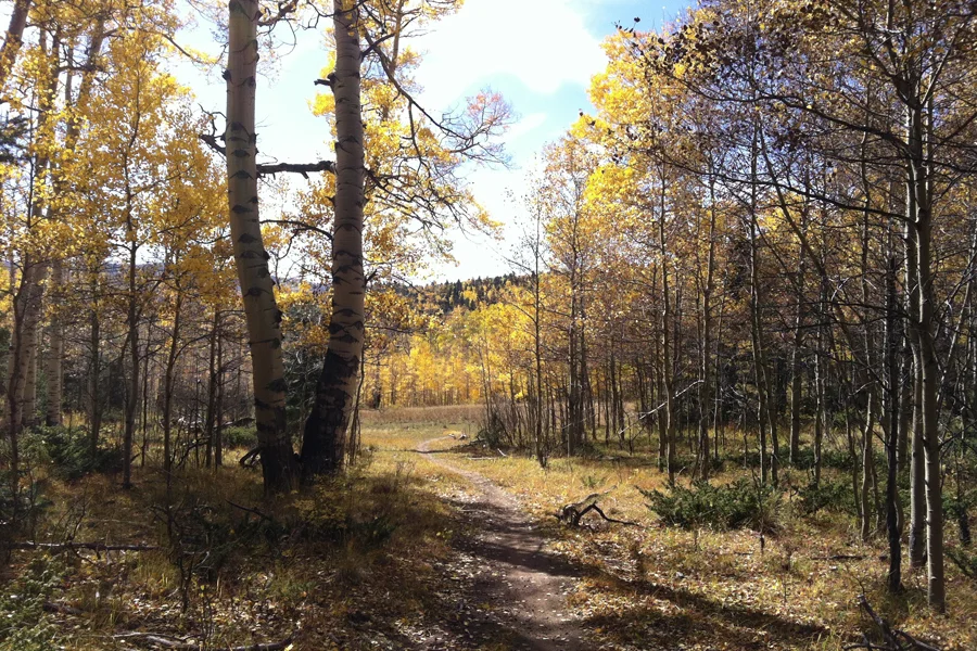 Gallery_Pics_22.jpg