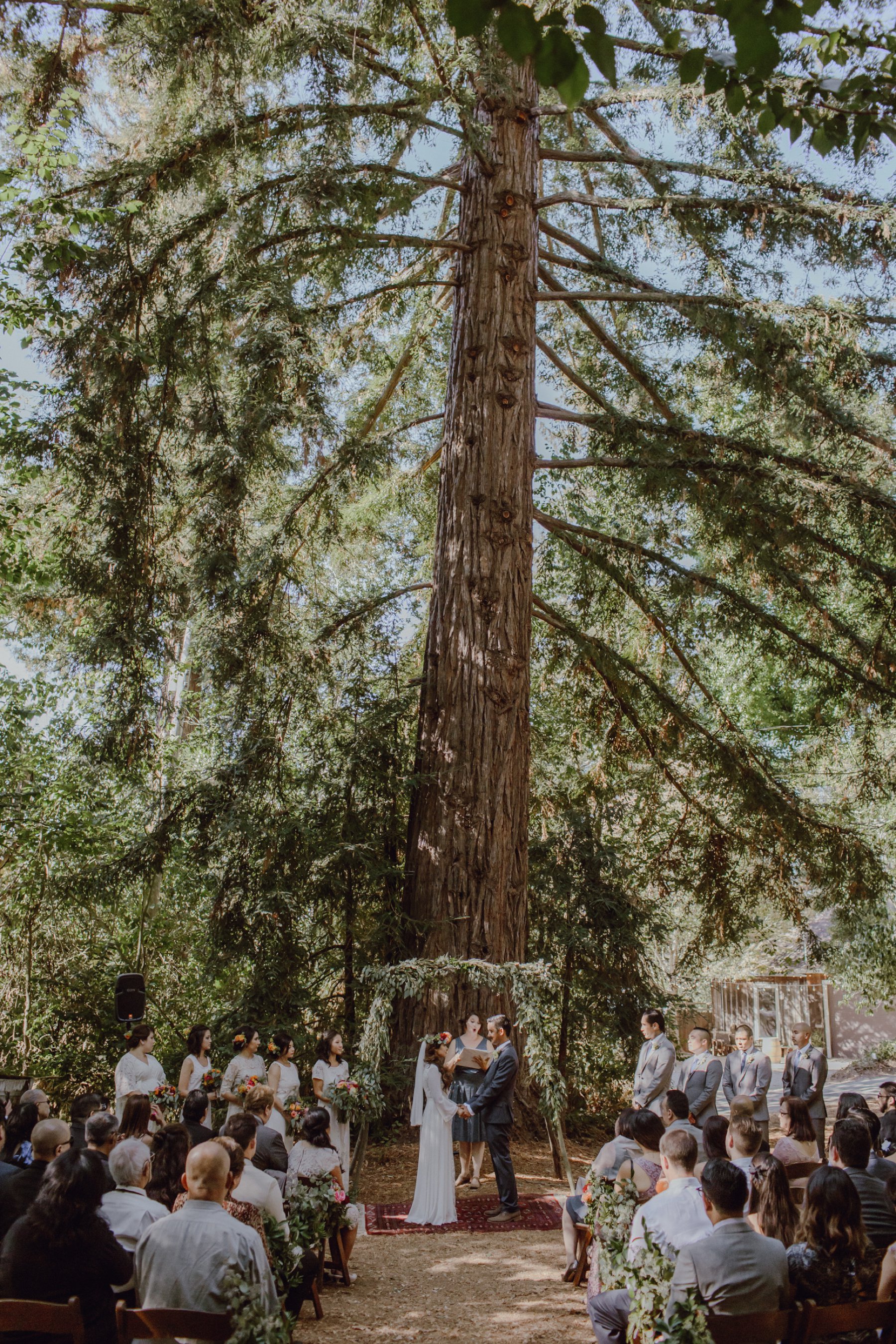 Redwoods wedding ceremony at Sand Rock Farm