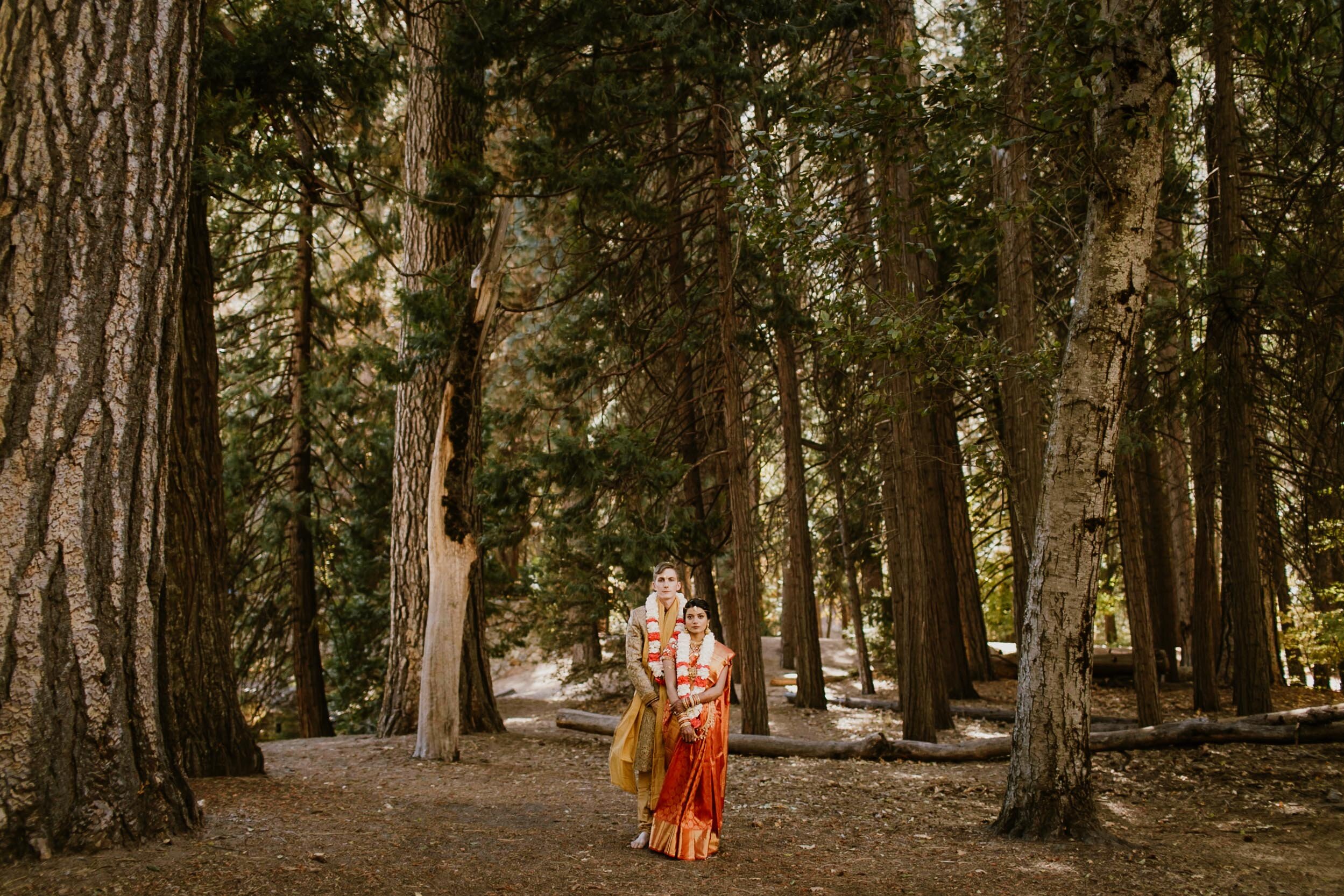 Telugu Hindu Wedding at The Ahwahnee in Yosemite