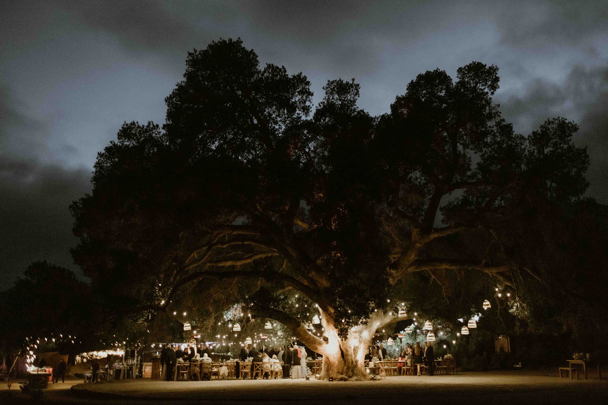 The reception area under a giant oak tree at Bruma Casa 9 in Valle De Guadalupe