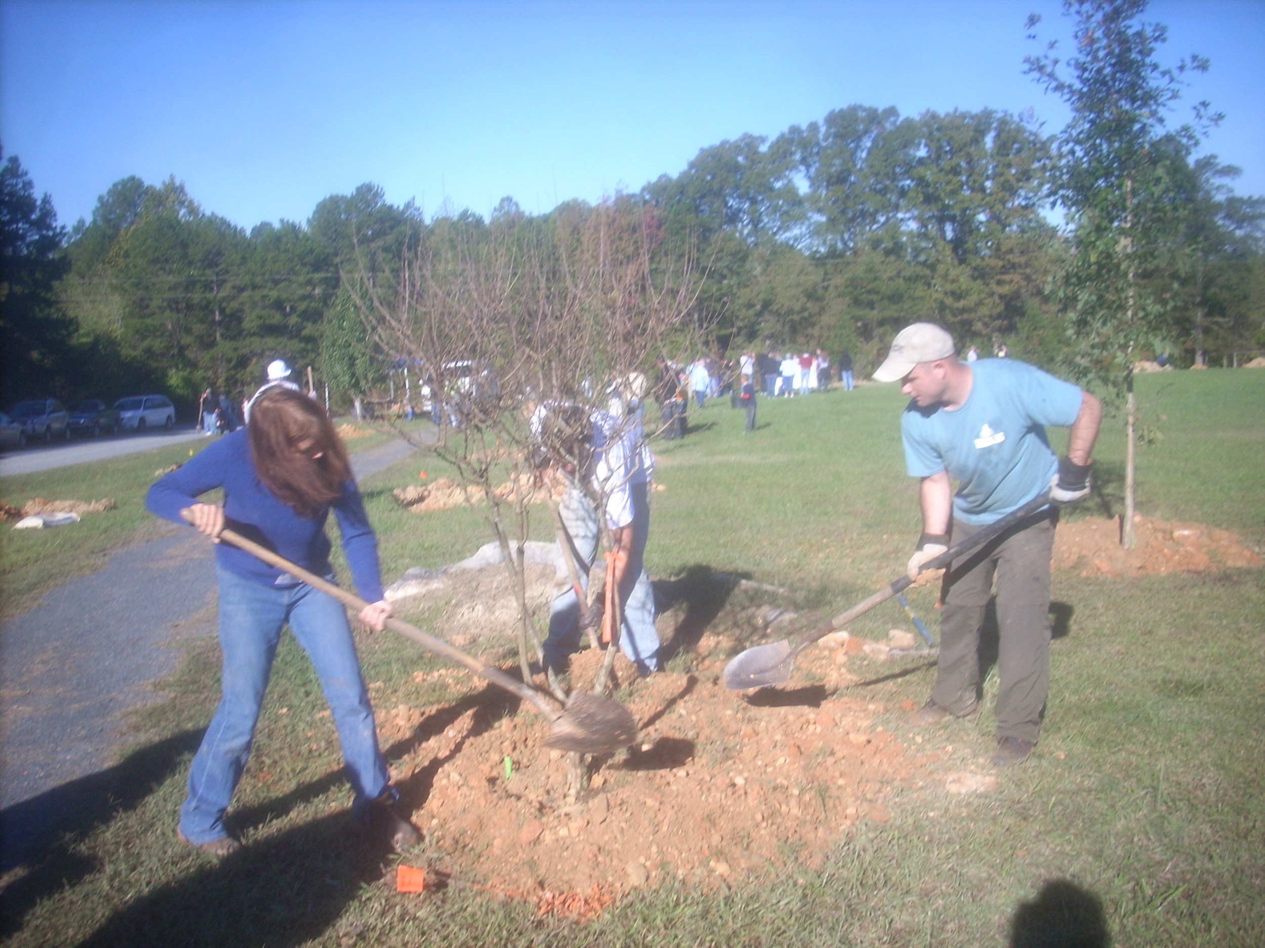 DSCN9537.JPG