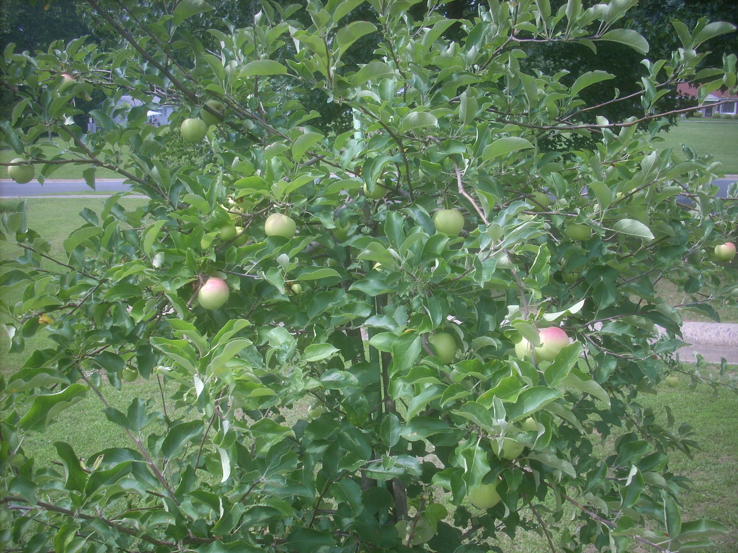 DSCN8914.JPG