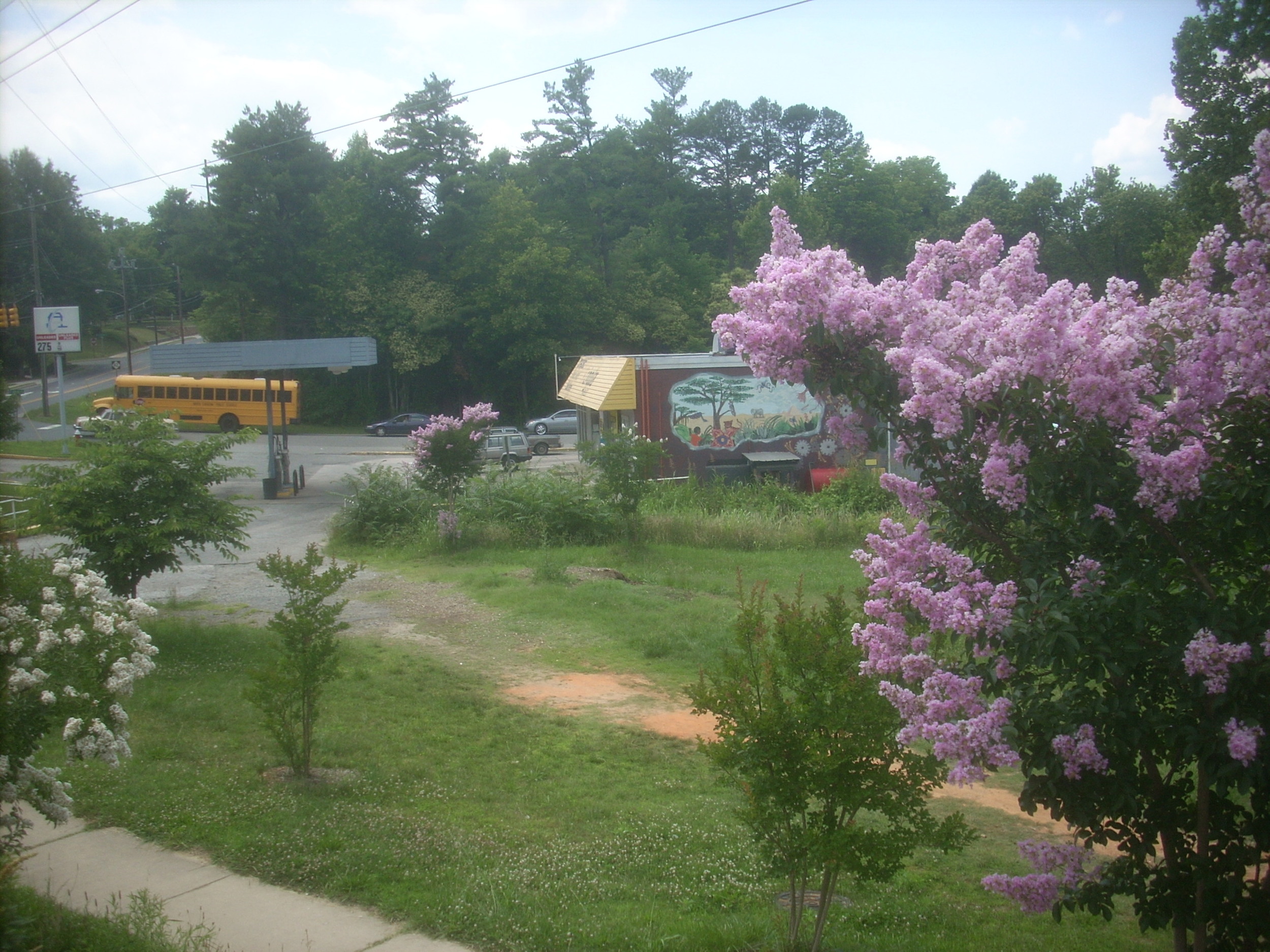DSCN8961.JPG