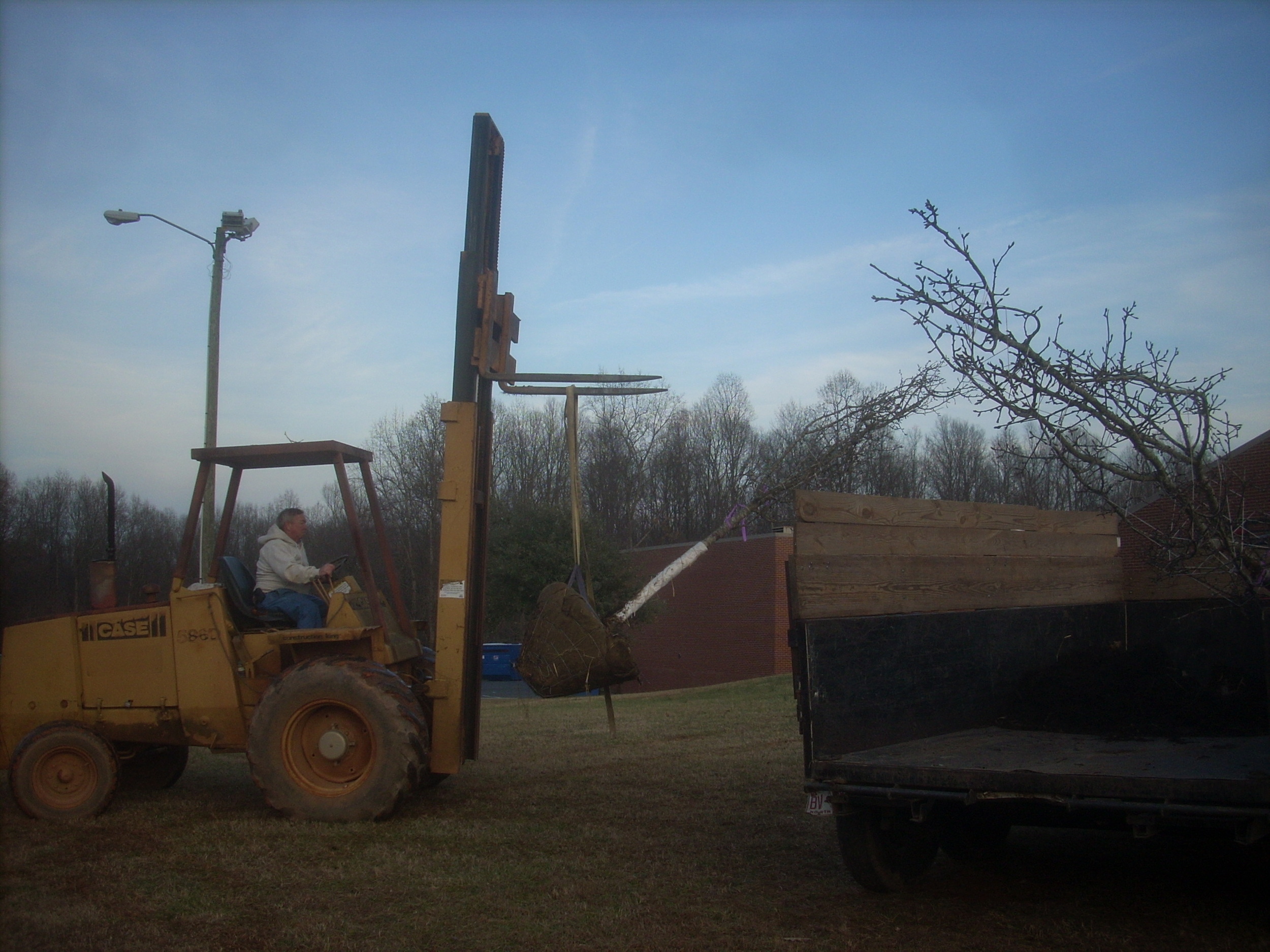 DSCN8303.JPG