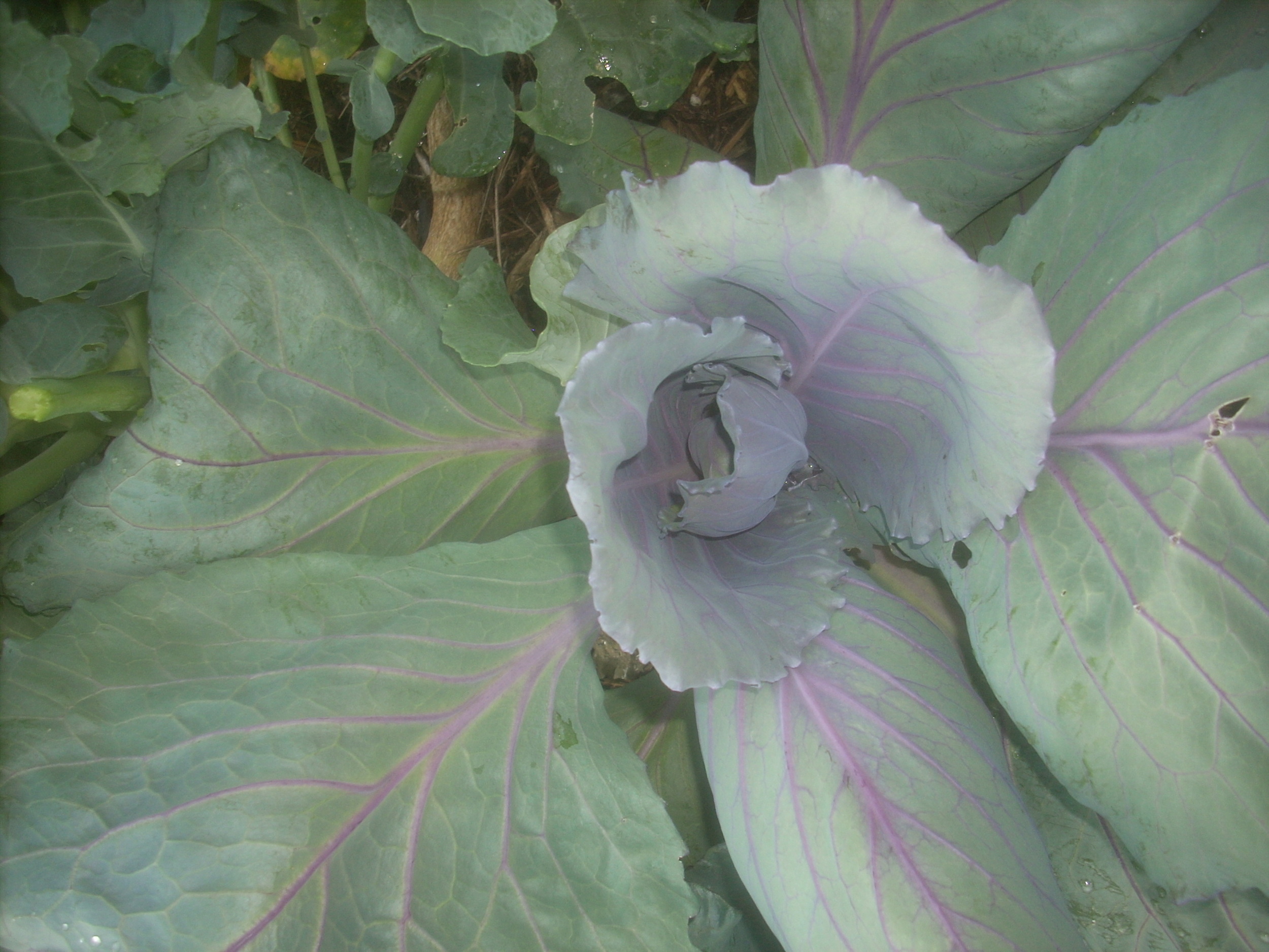 DSCN9349.JPG