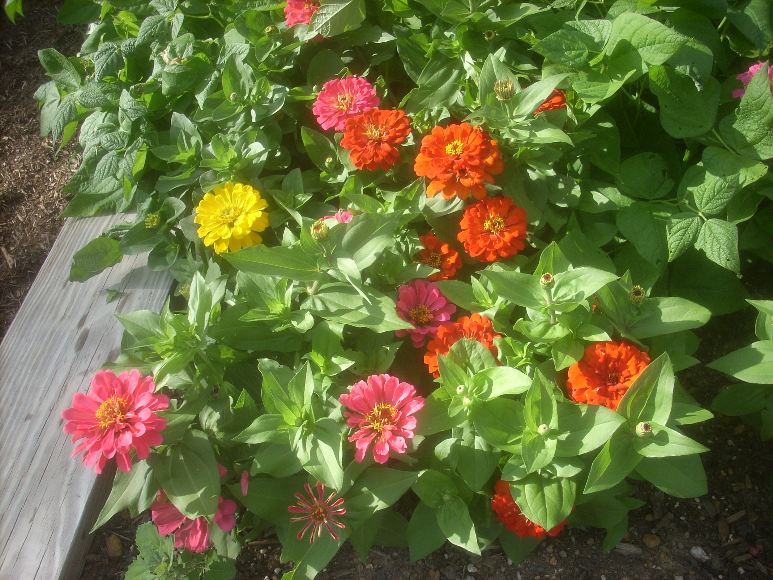 DSCN8955.JPG