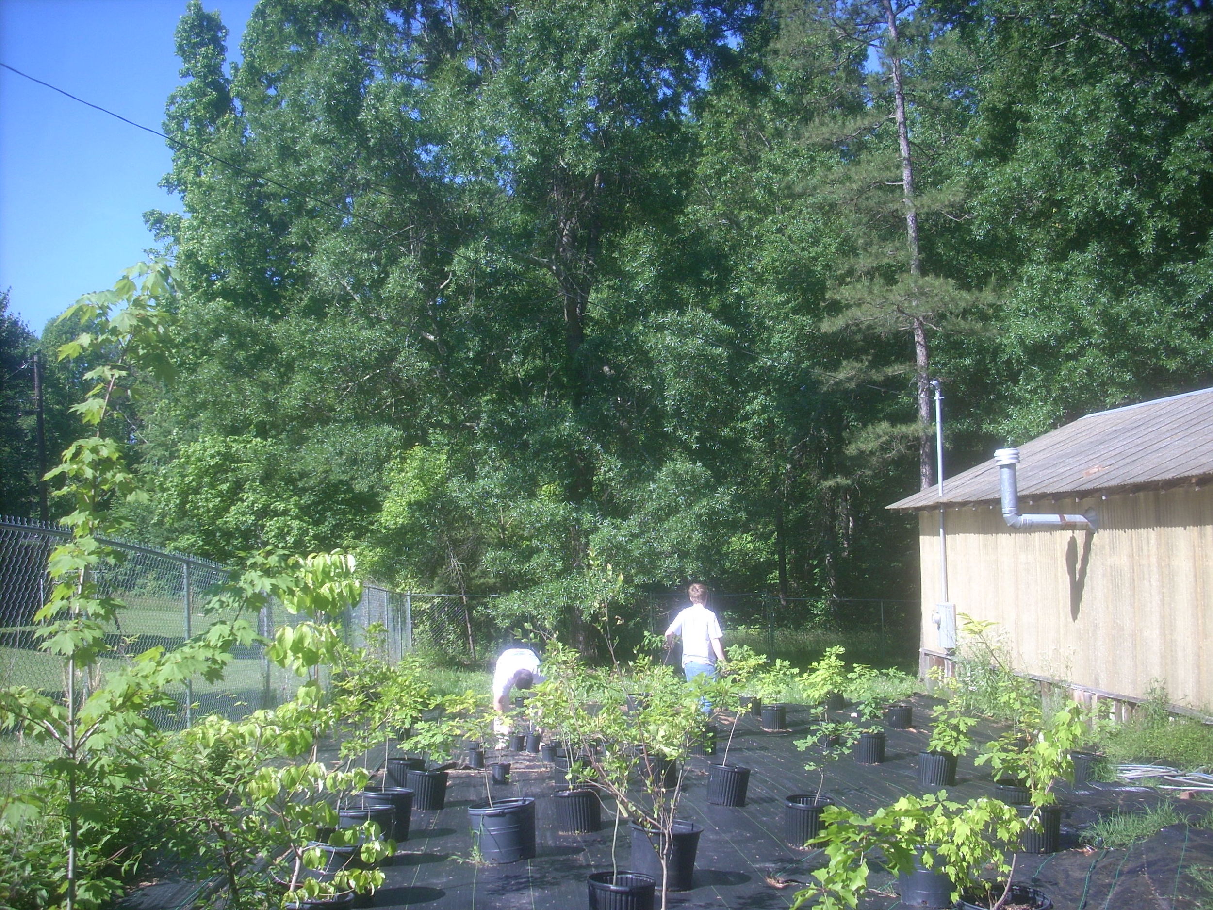 DSCN8898.JPG