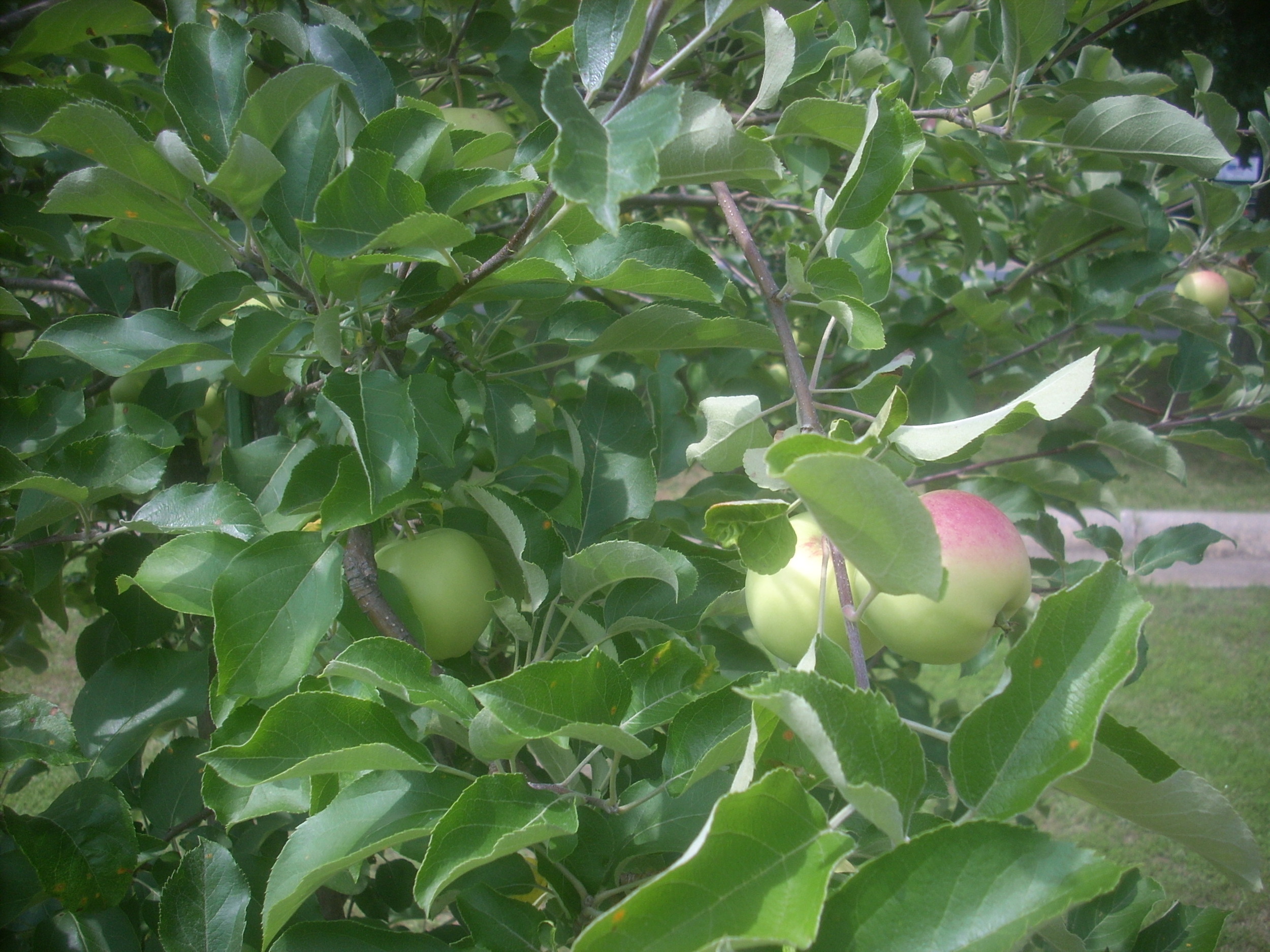 DSCN8915.JPG