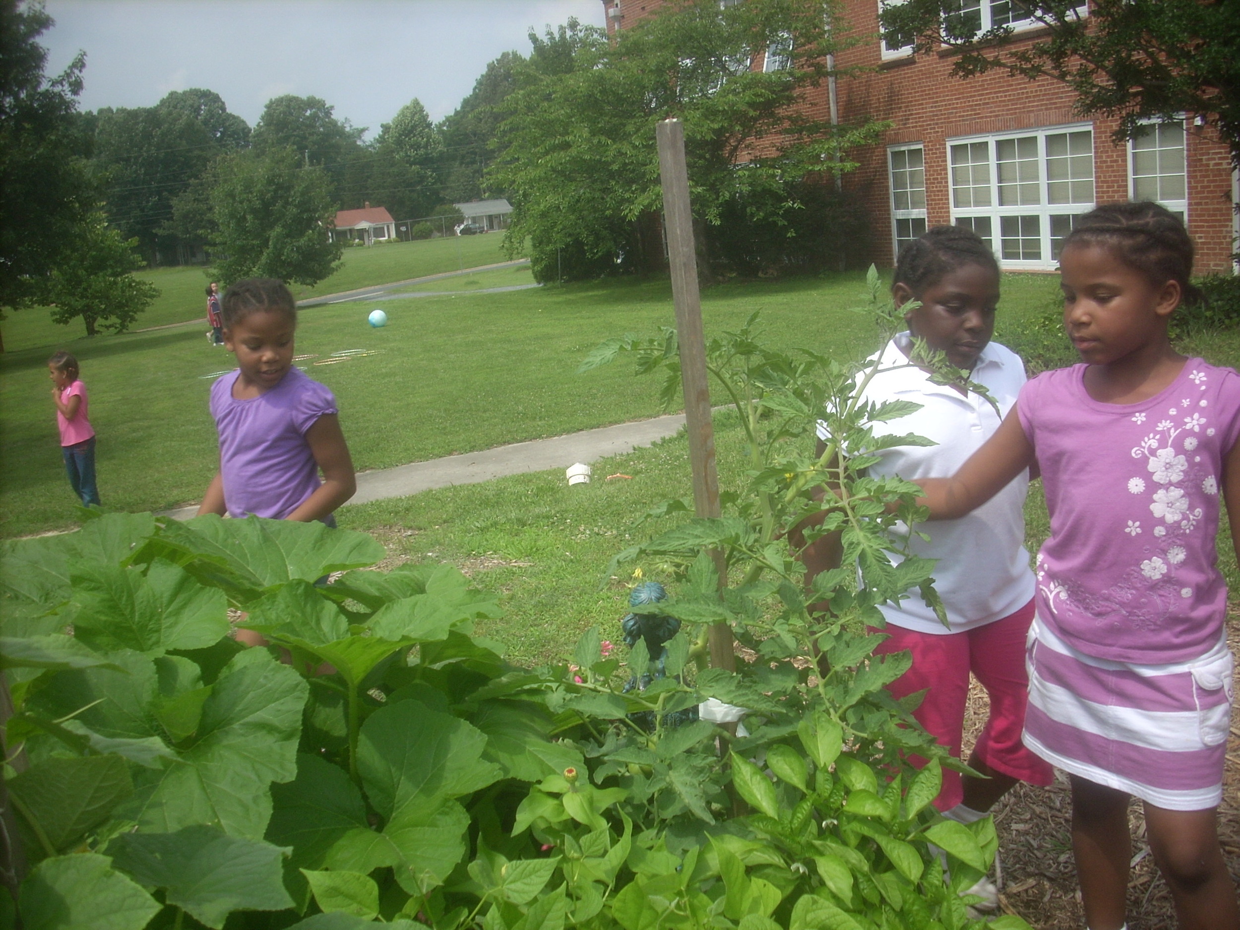 East Side garden 1.JPG