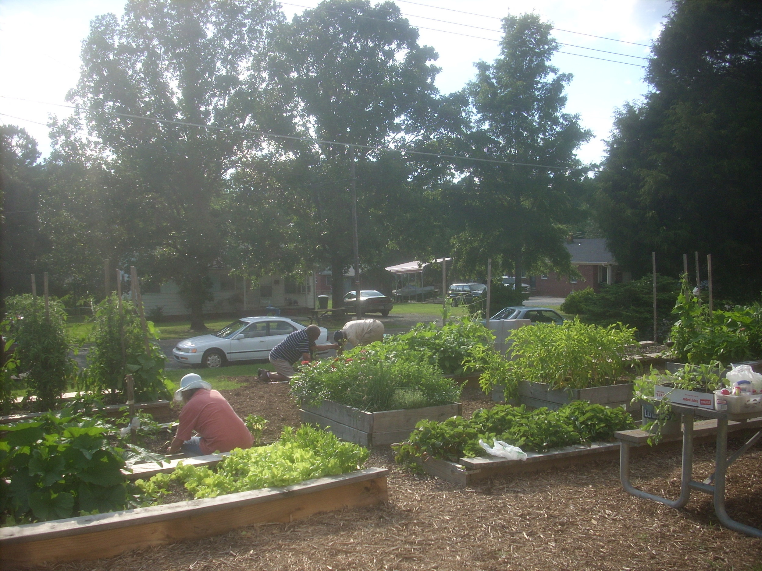 DSCN8944.JPG