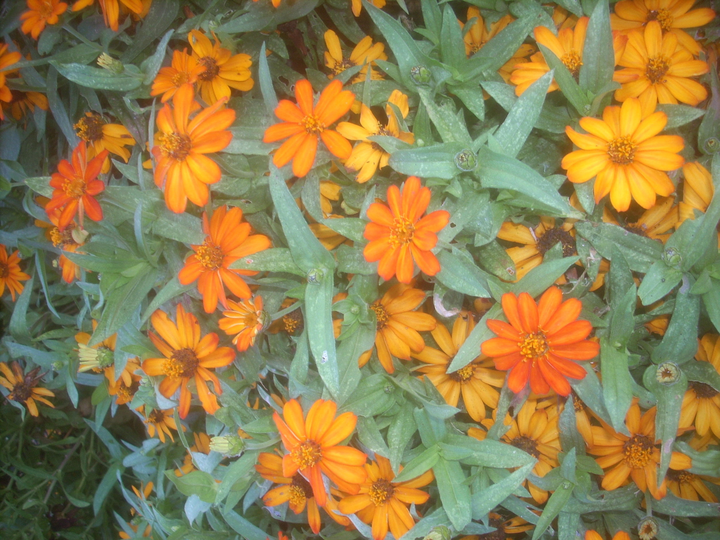 DSCN9347.JPG