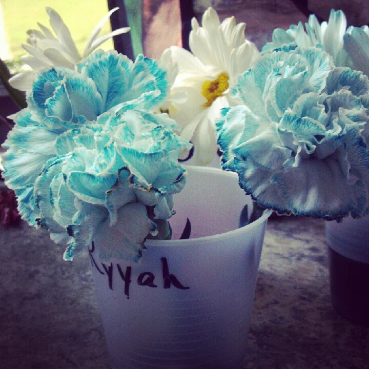 Youth learned from observation that the quality of the water greatly impacts the plants (or flowers in this case) that grow within.