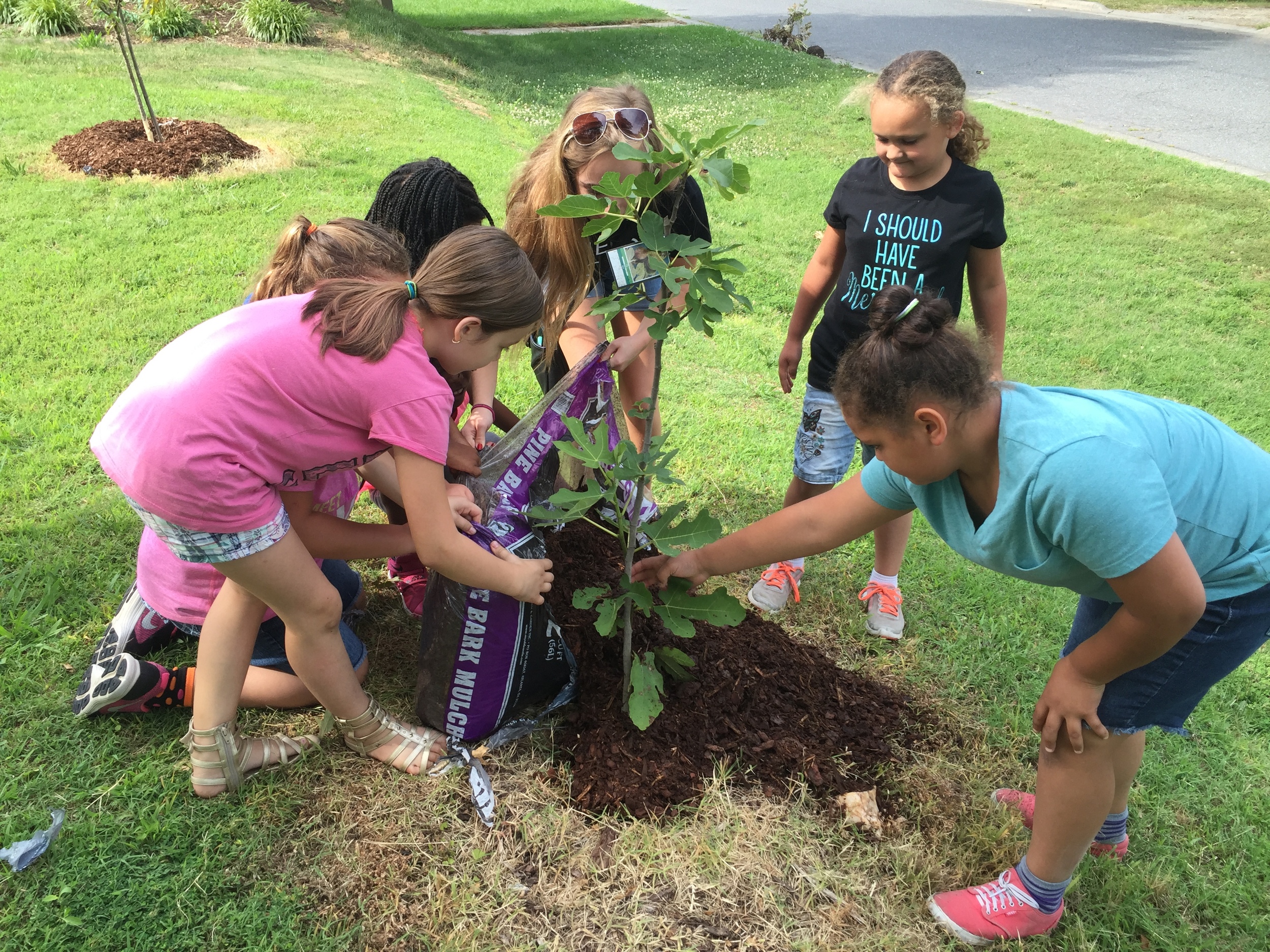 kids mulching.JPG