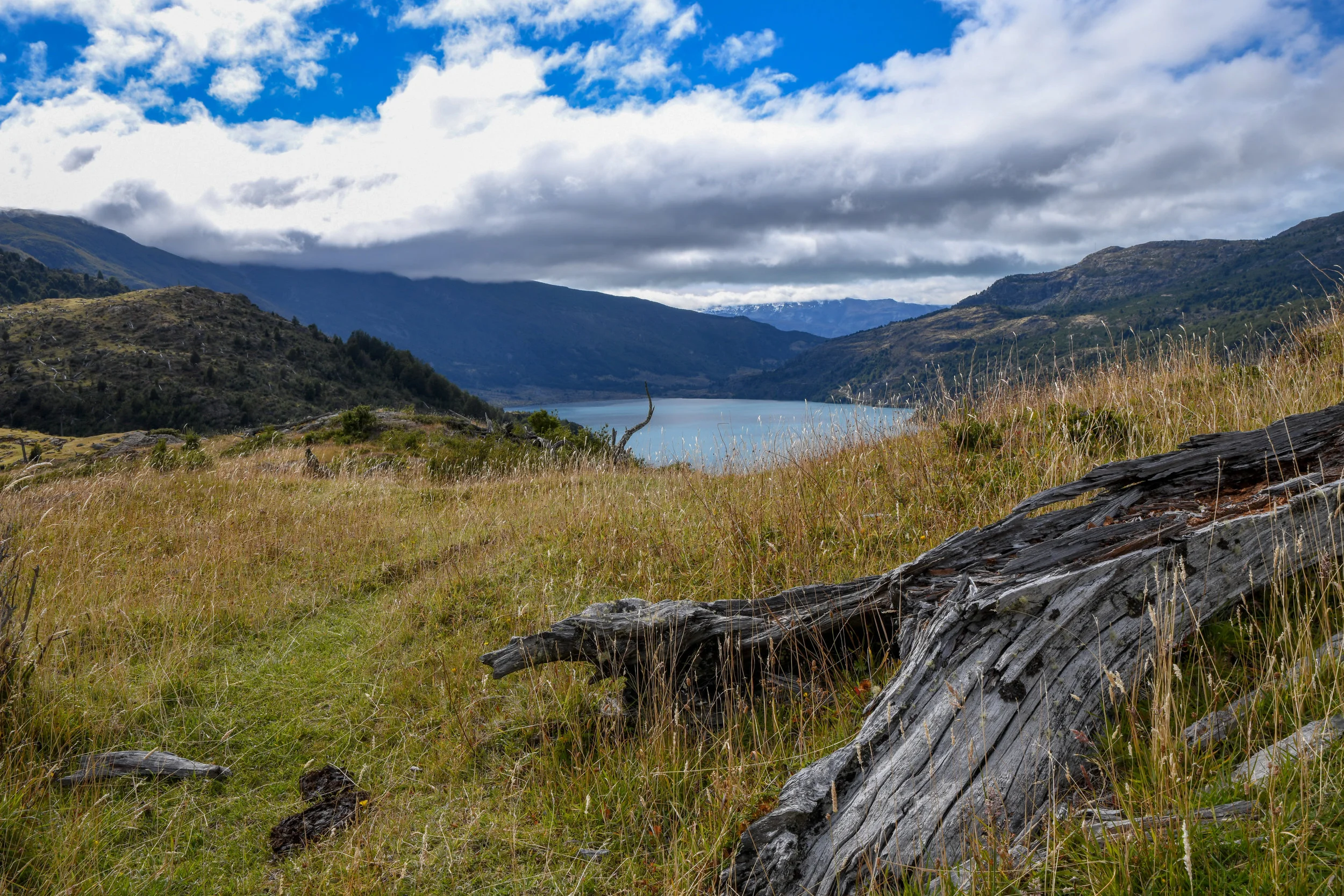 DSC_0740-2.jpg