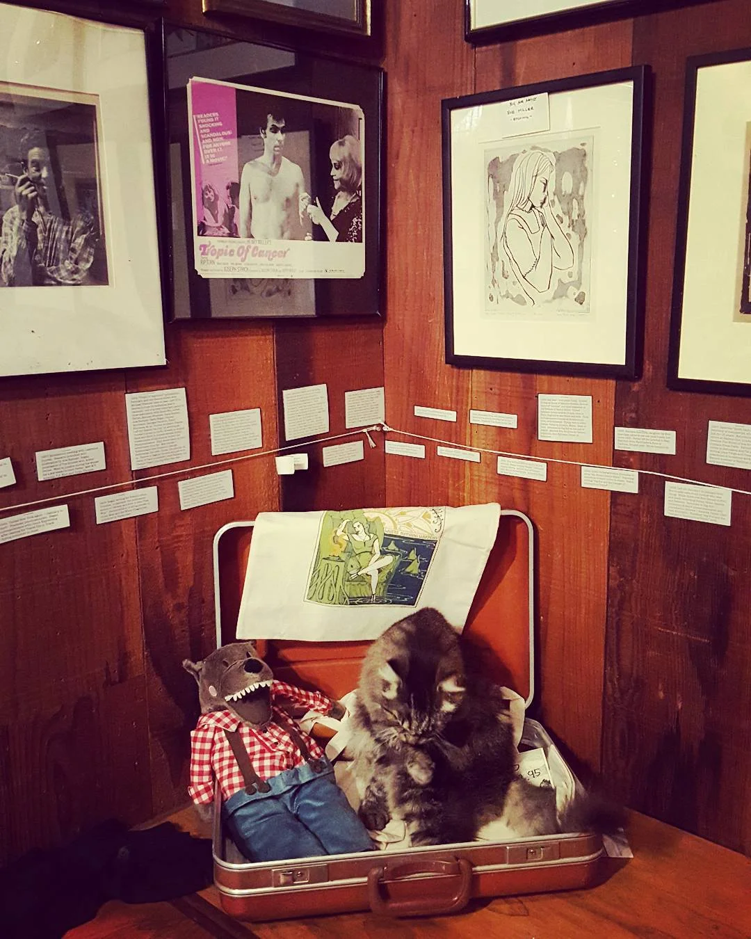  Theo, caretaker of the Henry Miller Museum in Big Sur, California. 