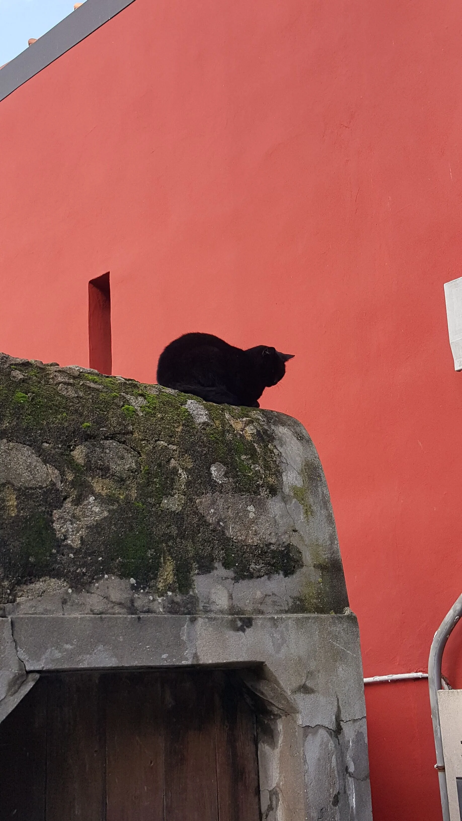  A local takes a nap in Porto, Portugal. 