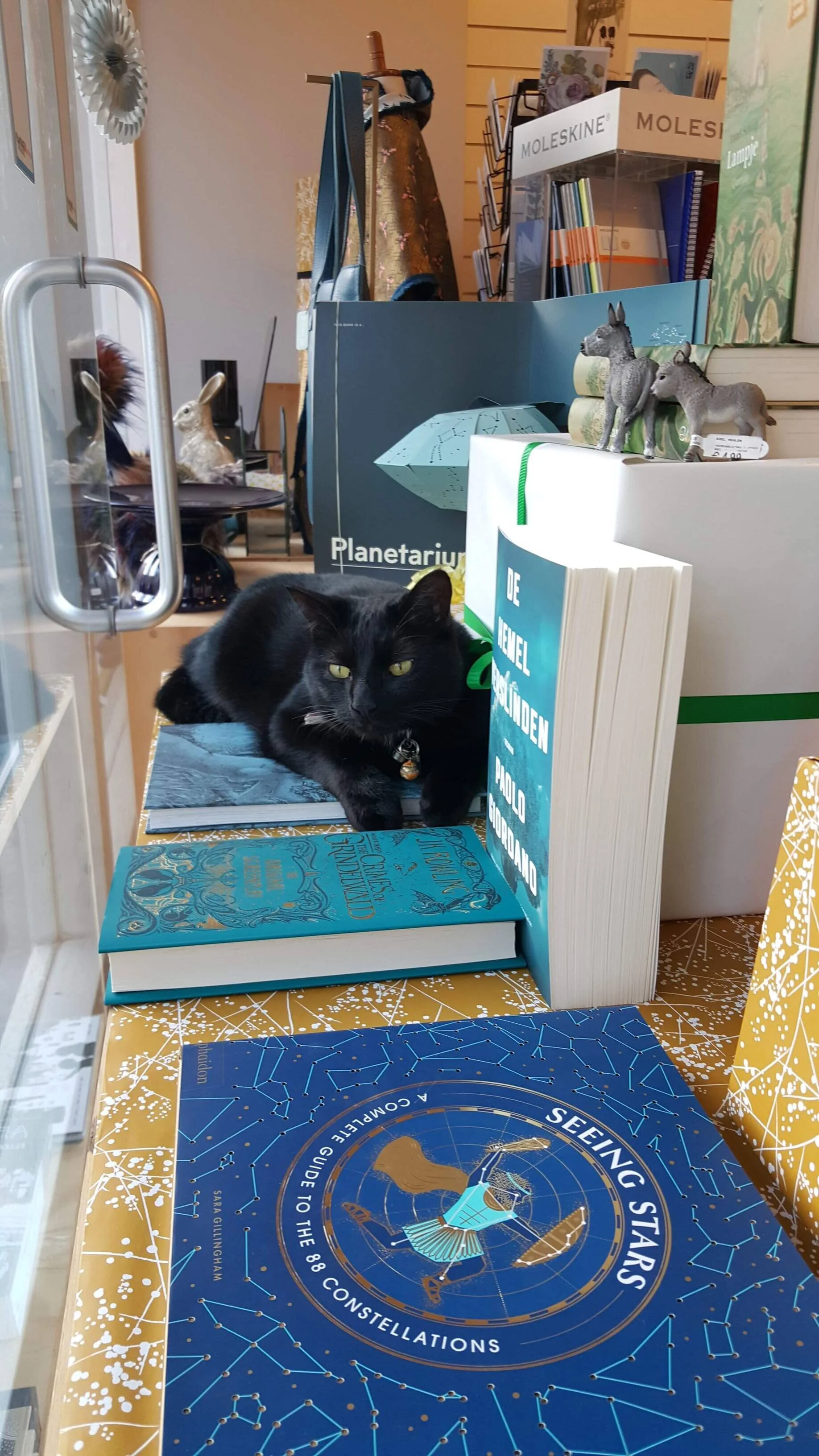  The clerk at Mendo takes a break by the window in Amsterdam, Netherlands.  