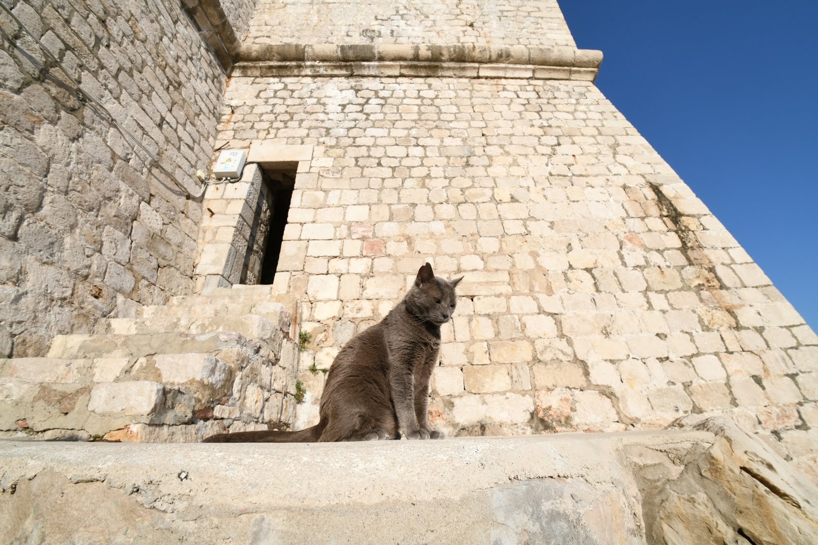  A local soaks up the sun on the fortress walls in Dubrovnik, Croatia. 