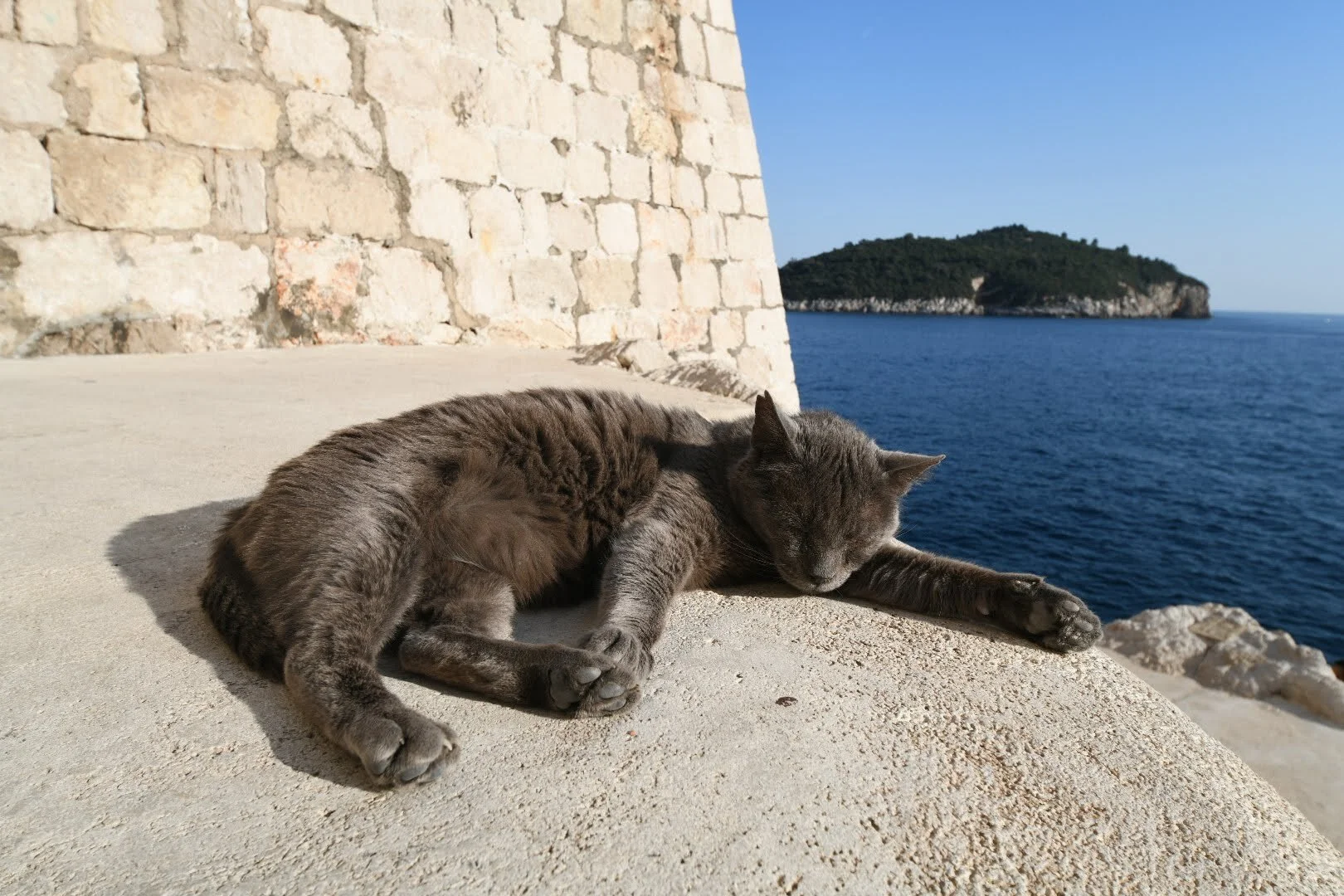  A local enjoys a warm nap on the fortress walls in Dubrovnik, Croatia. 