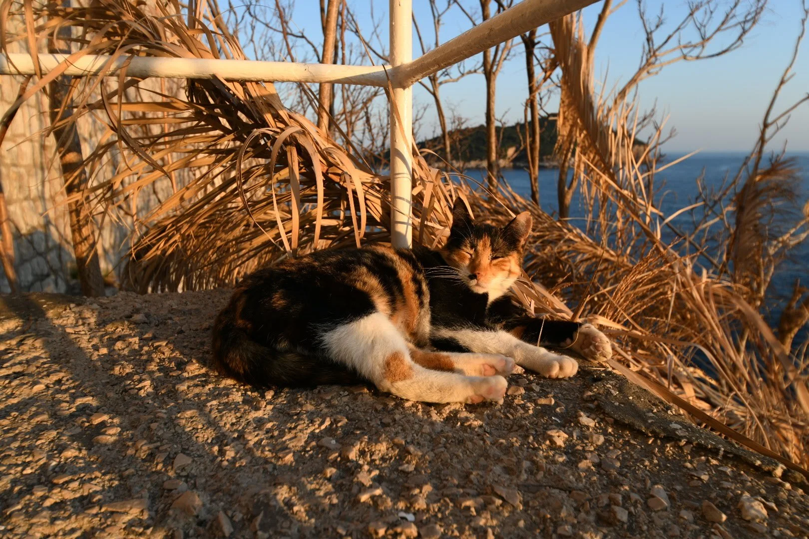  A local enjoys a sunset nap at a cliff-side bar in Dubrovnik, Croatia. 