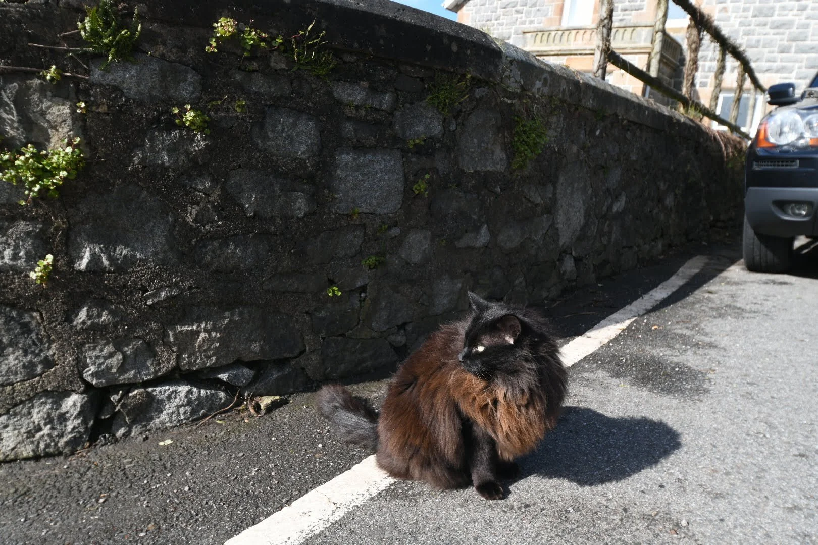  A local offers directions in Oban, Scotland. 