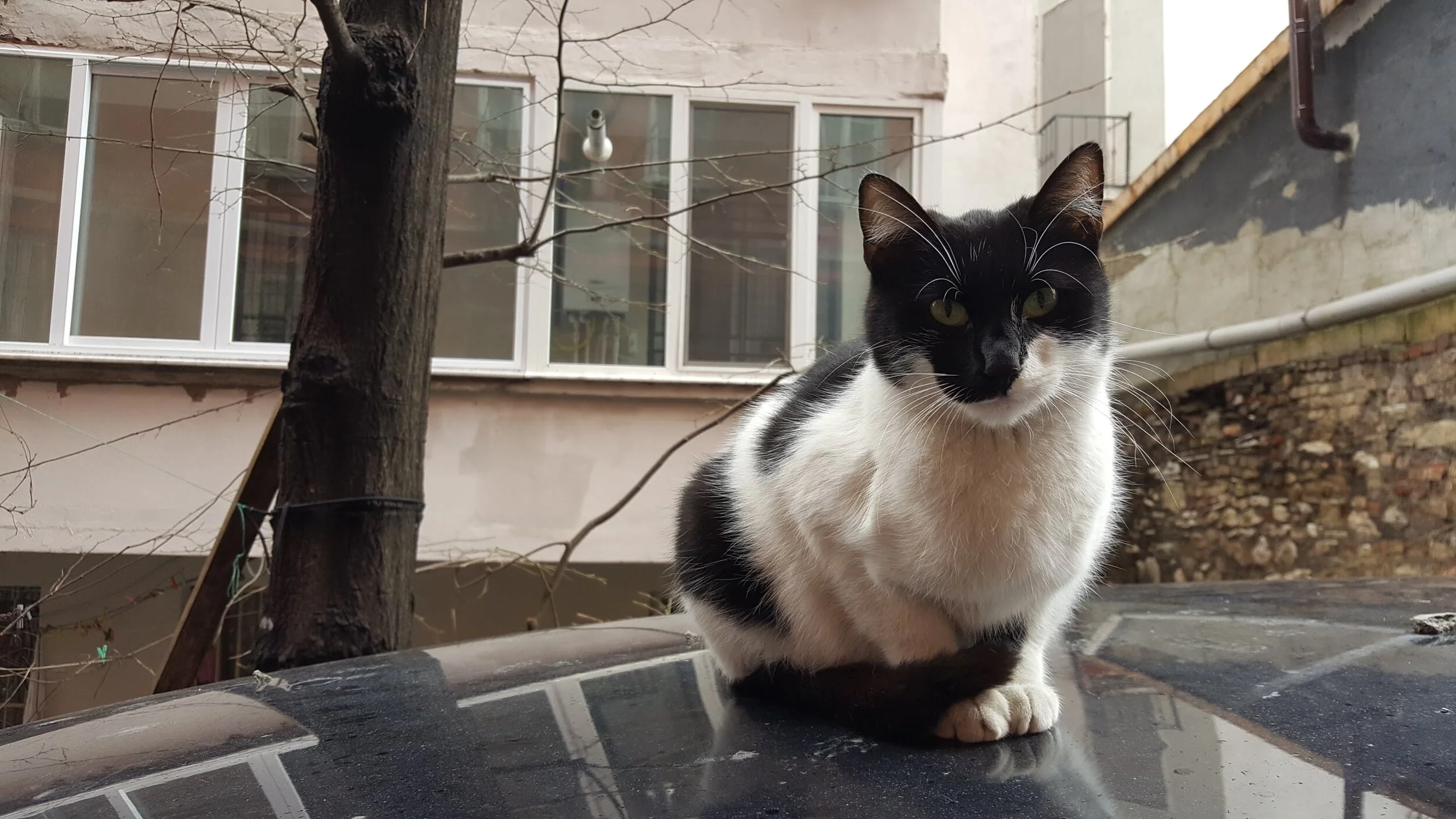  Chatting with the locals on the way to the hamam in Istanbul. 