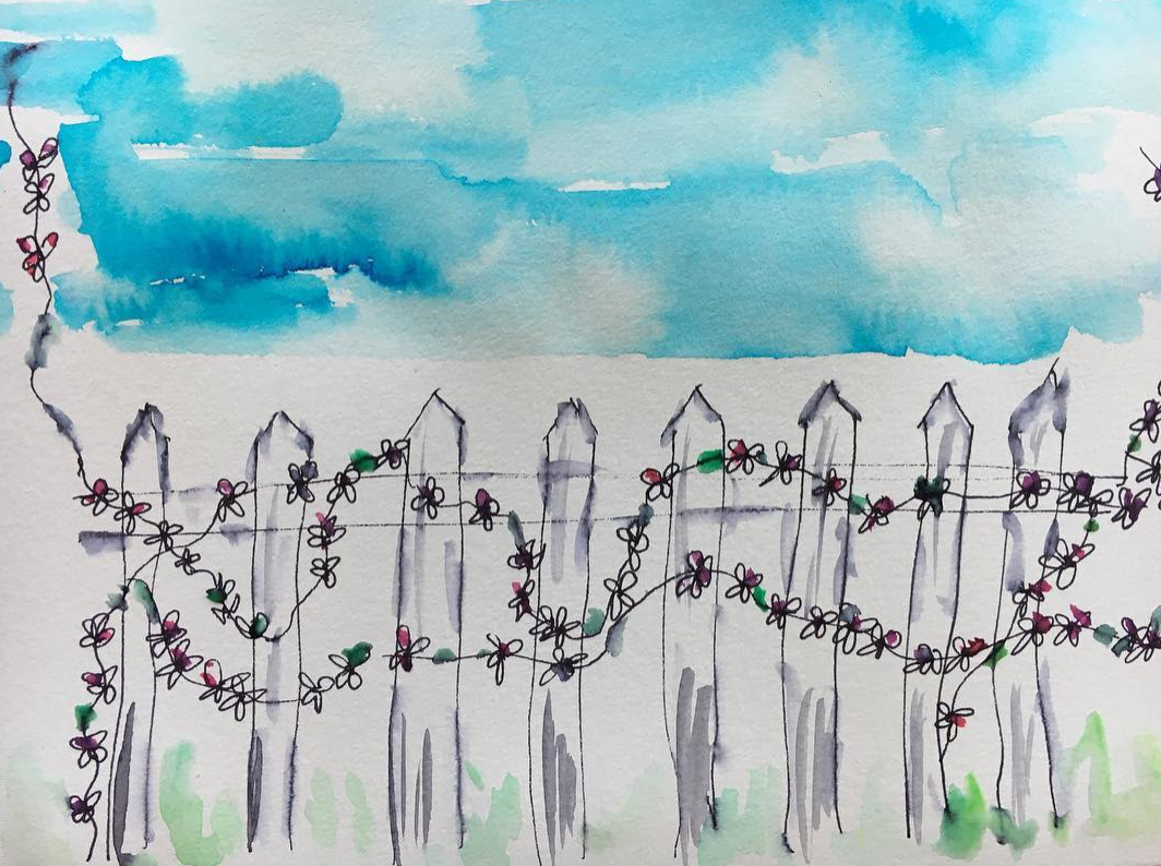 jasmine growing over a white picket fence with the blue skies and green grass around... 