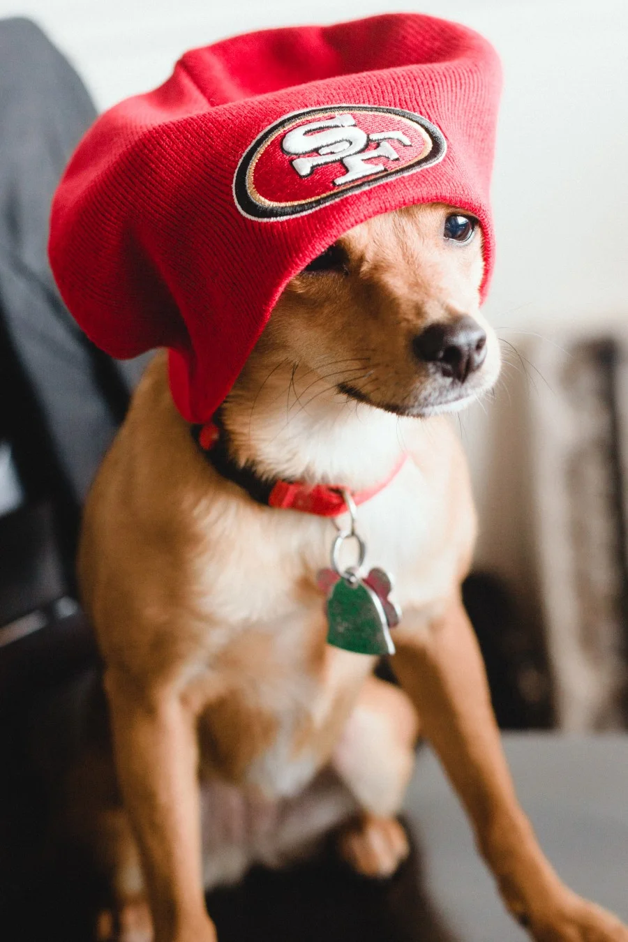 Cookie - Superbowl Sunday