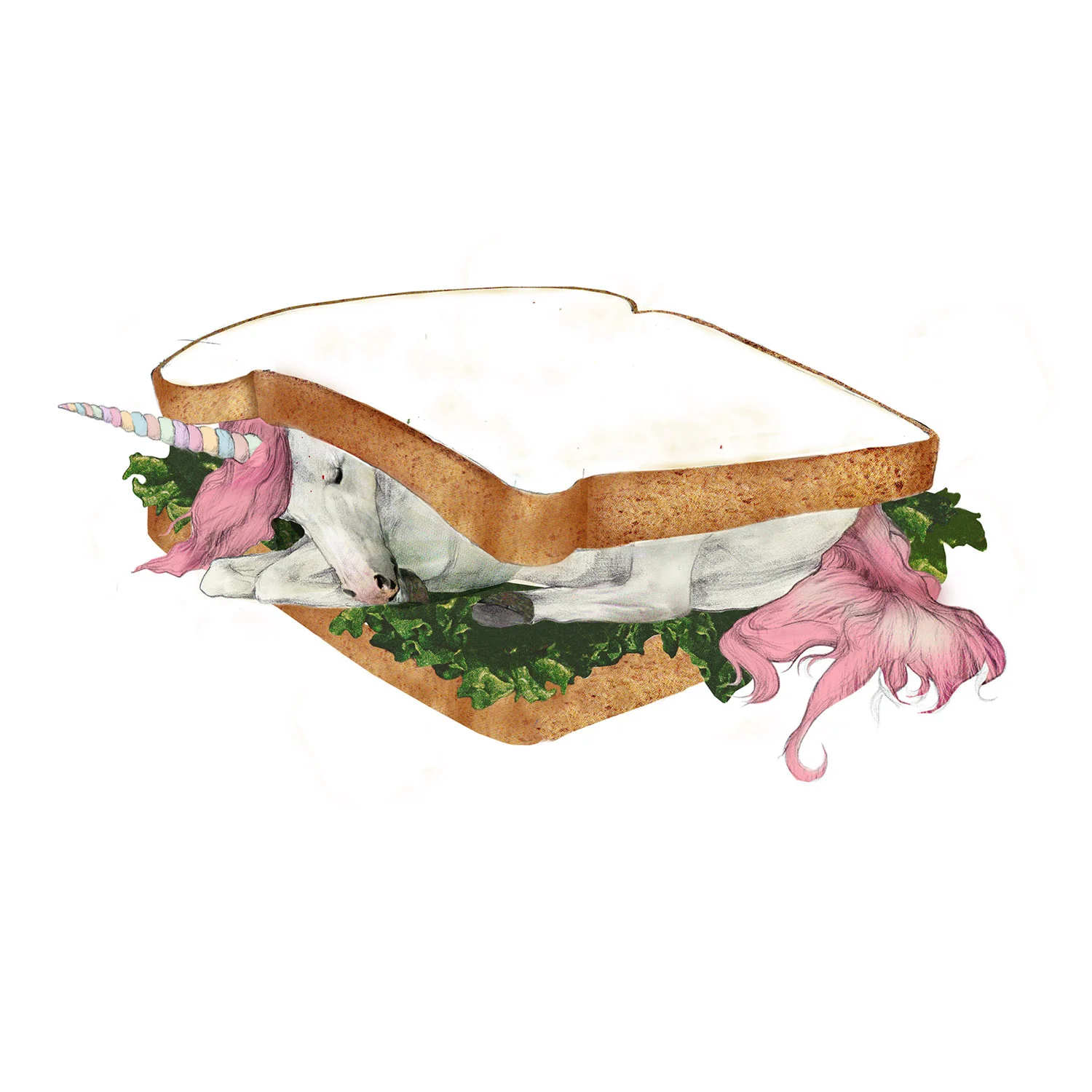 UnicornSandwich:14x9in.jpg