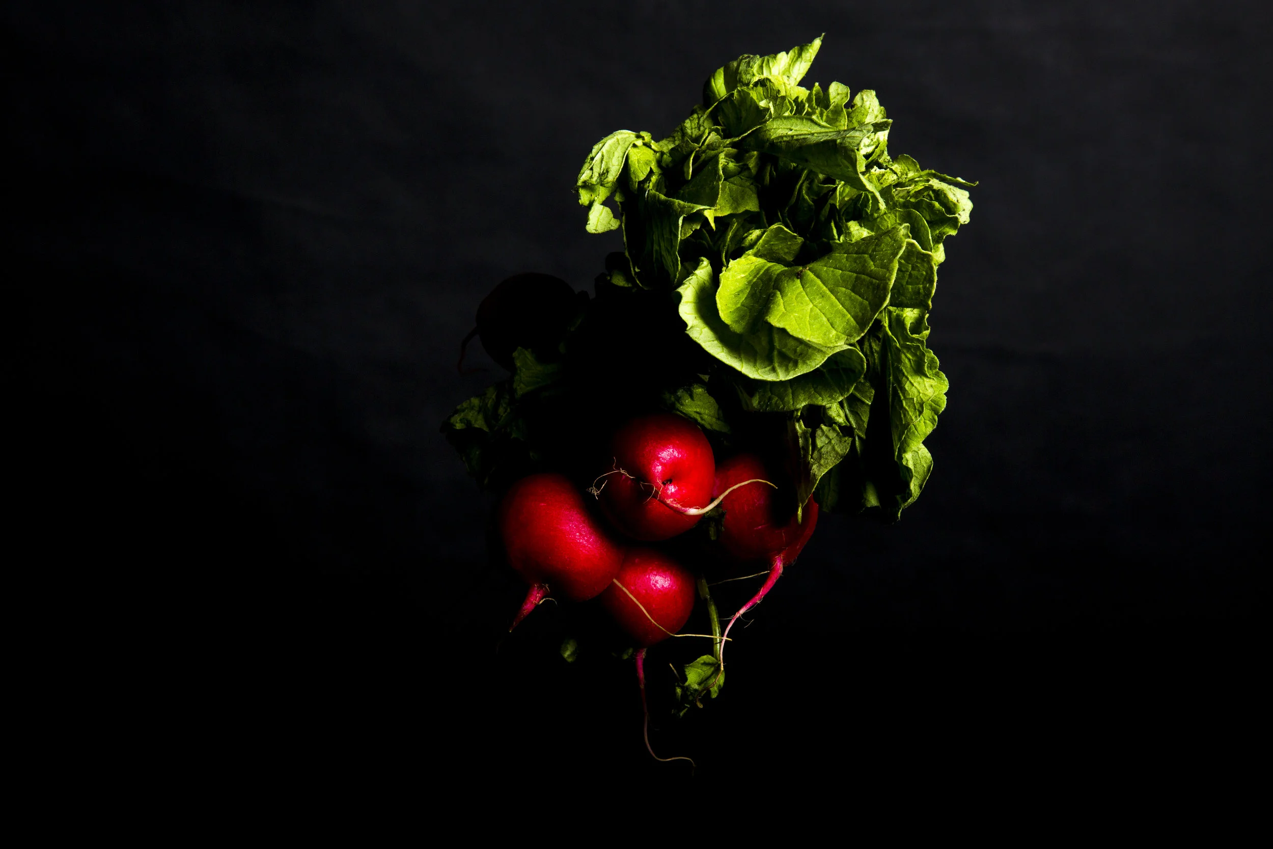RADDISH.jpg