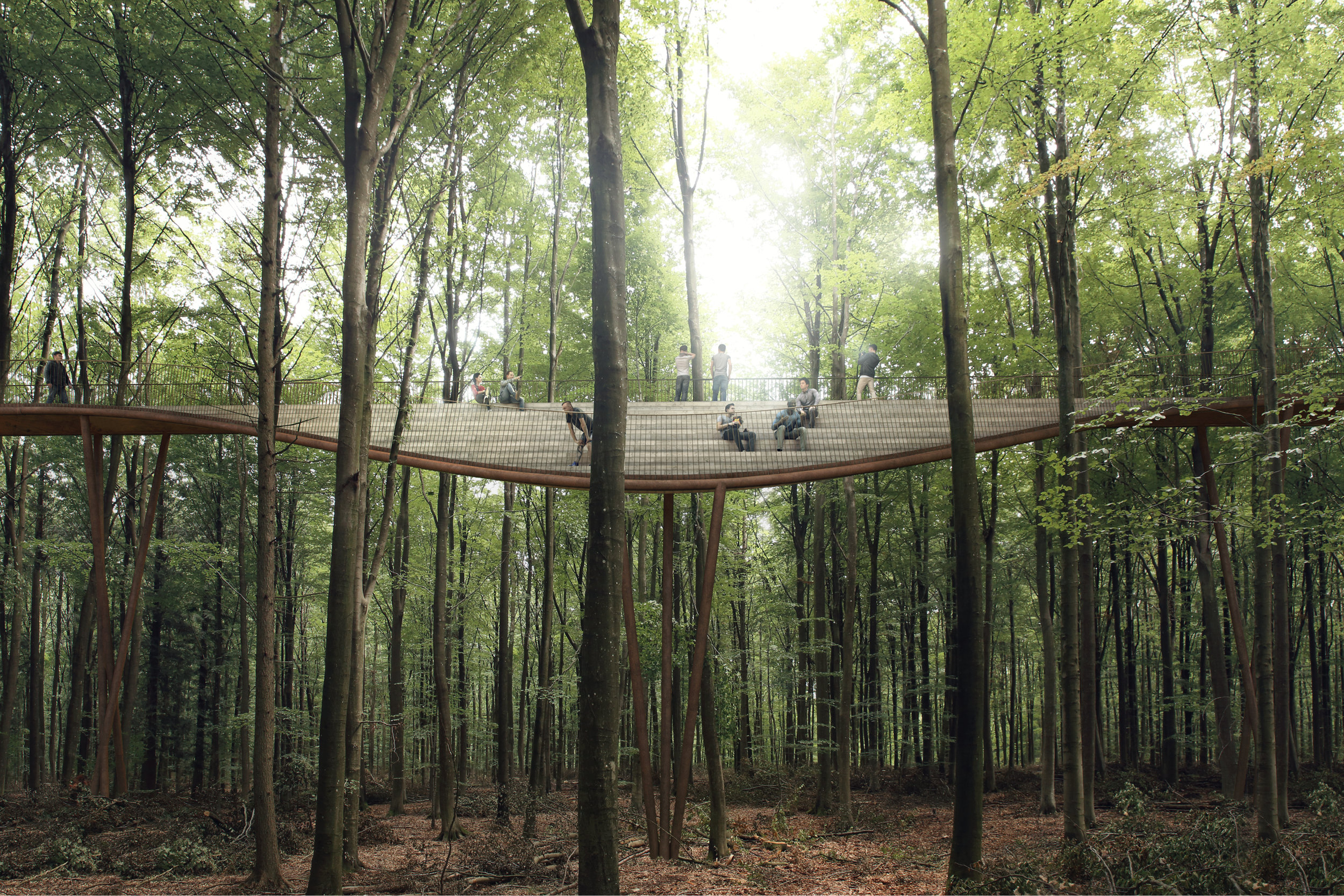 One of the features on the treetop walk: An amphi seating pocket