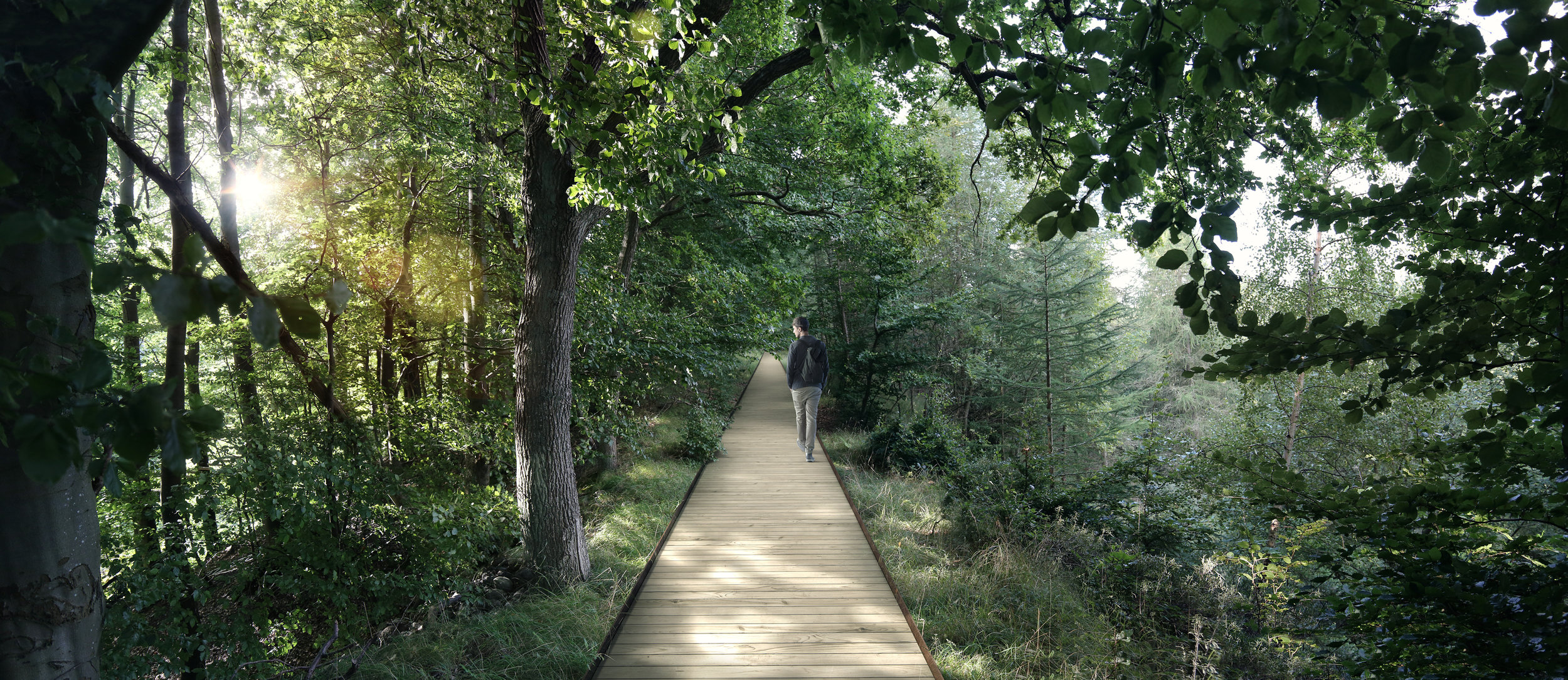 The low route of the treetop walk