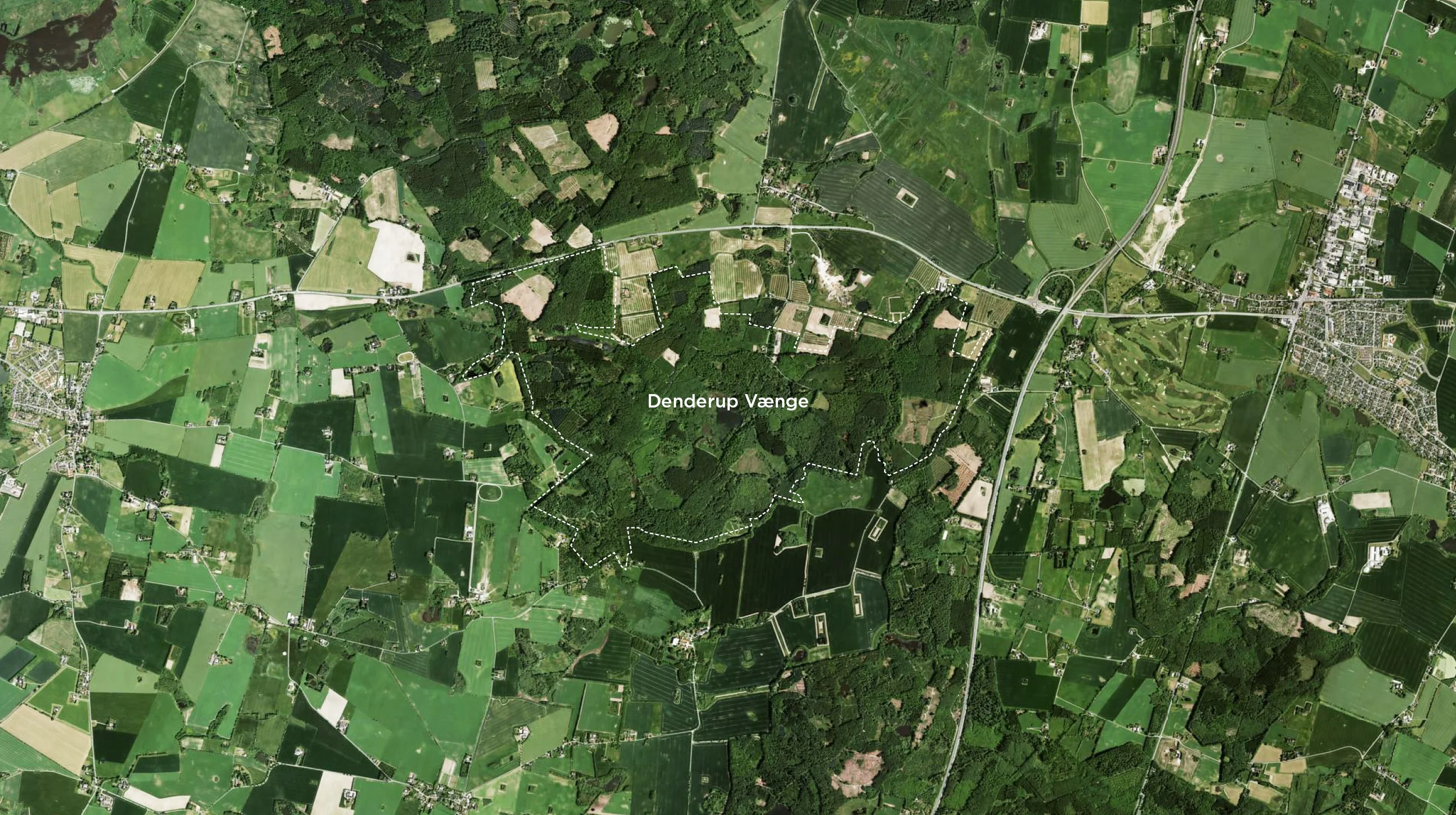 The site is a preserved forest
