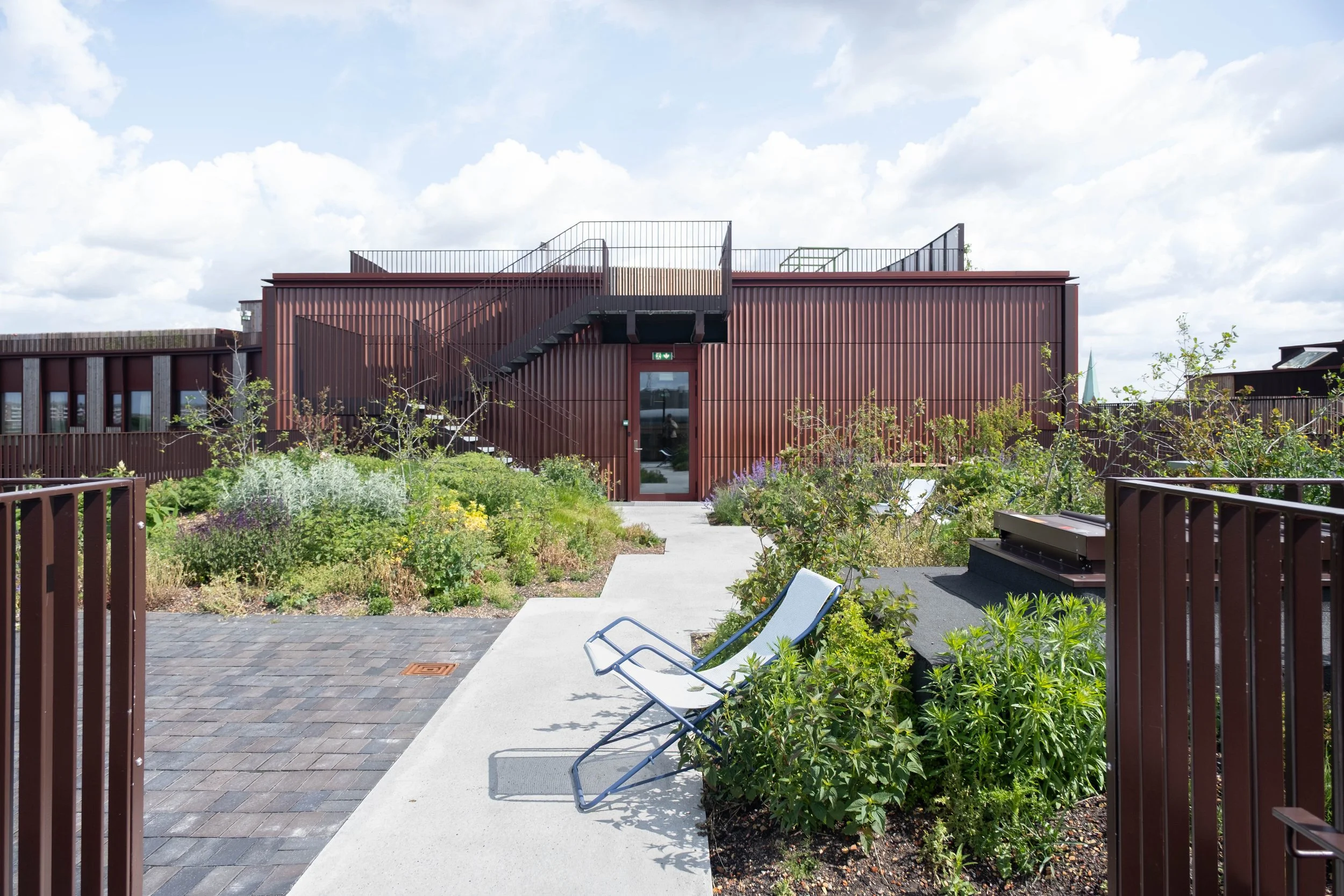 SA_Umeus Nolli _13.jpg