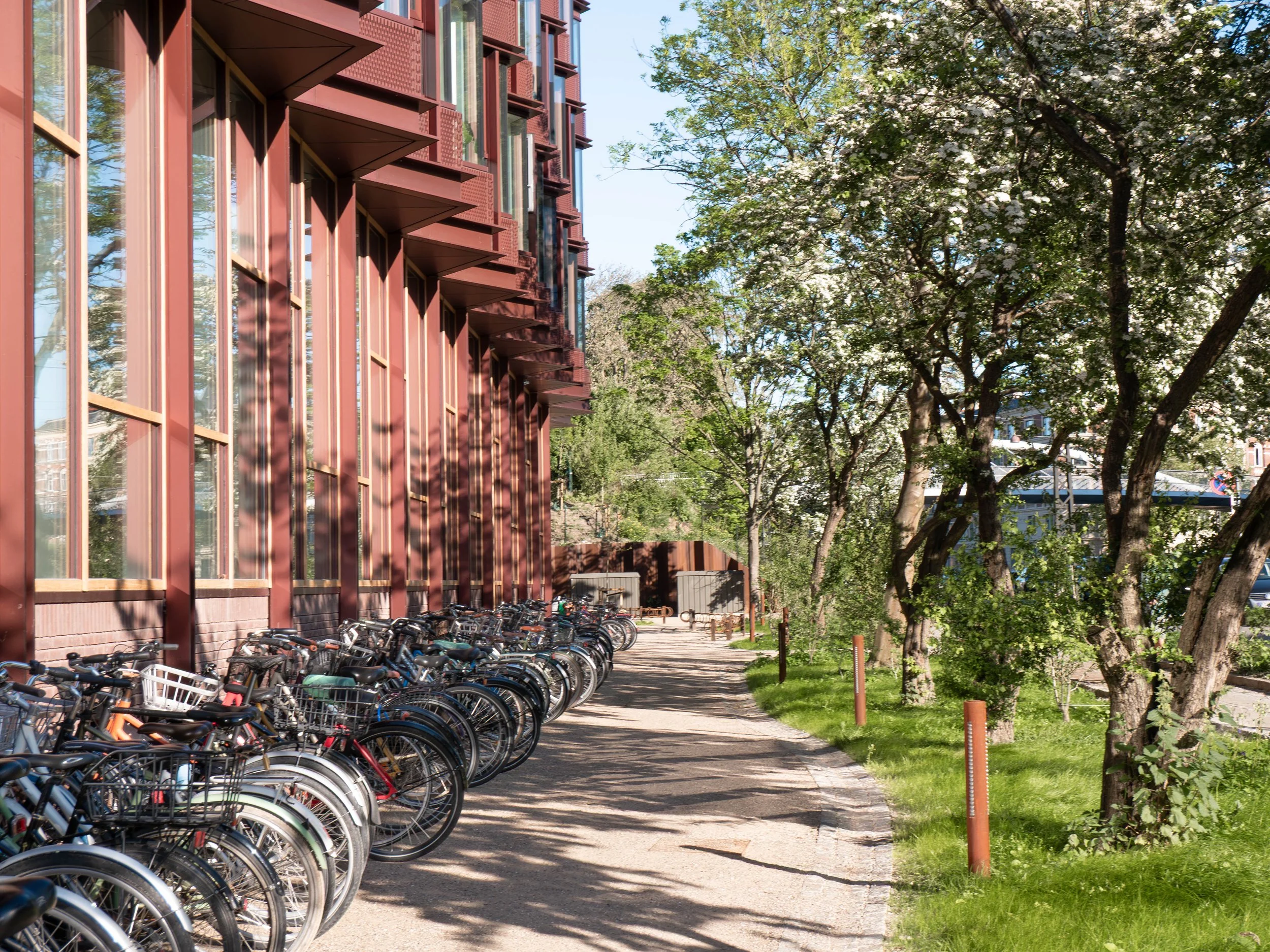 SA_Umeus Nolli_10.jpg