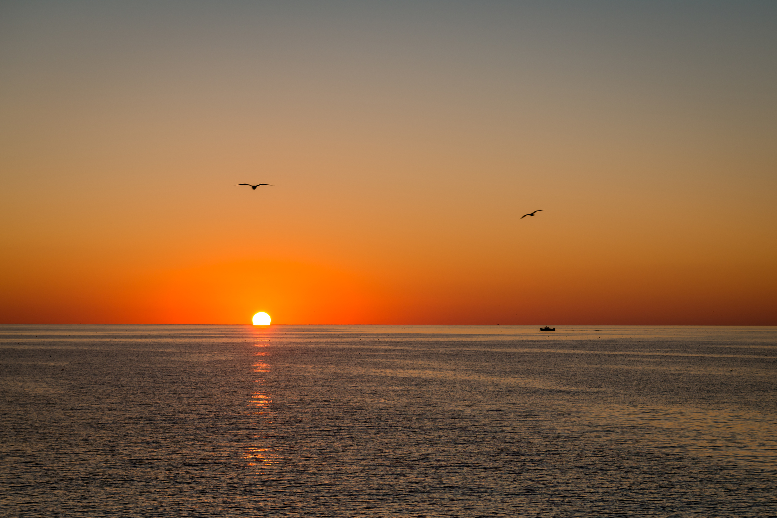 Sunrise from Acadia National Park, ME