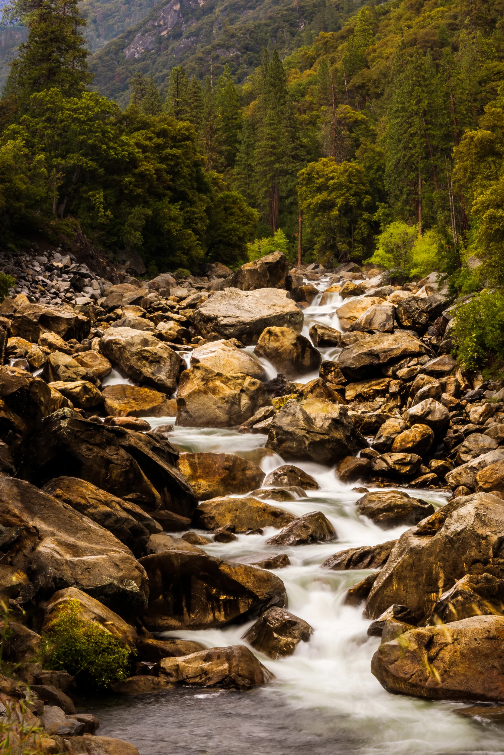 Merced River - Yosemite national park