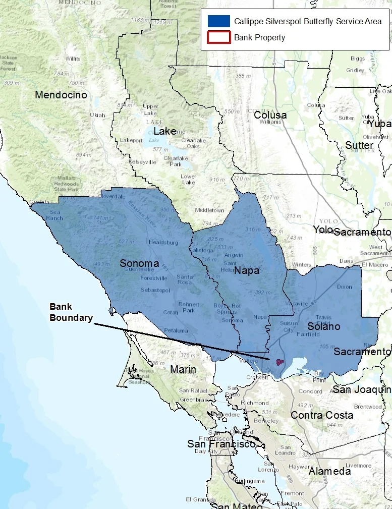 CSB service area graphic.jpg